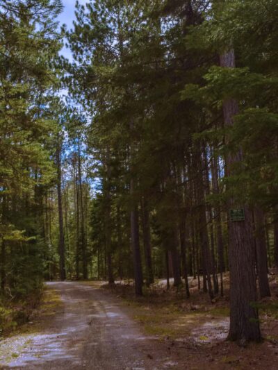 Indian Pond Campground - West Forks, ME