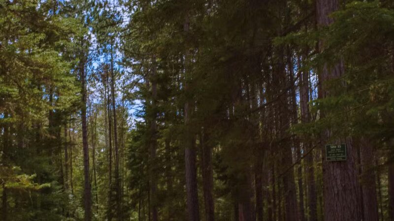 Indian Pond Campground - West Forks, ME