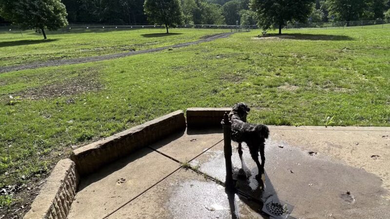 North Park Dog Park #2 - Wexford, PA