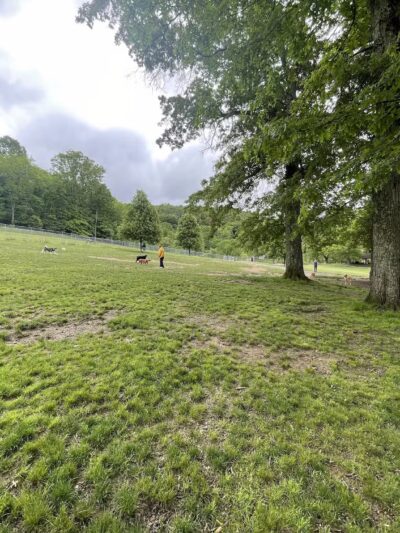 North Park Dog Park #2 - Wexford, PA