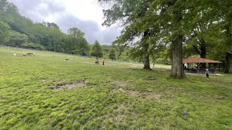 North Park Dog Park #2 - Wexford, PA