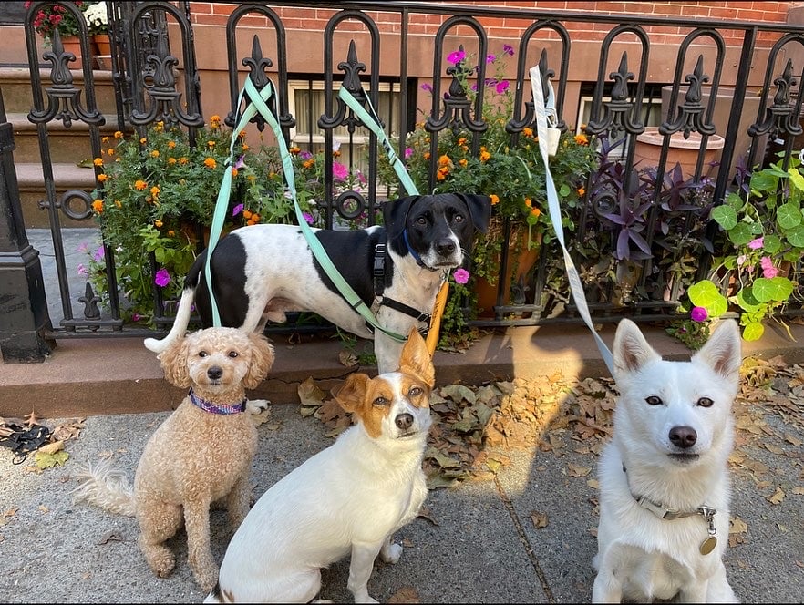 A Walk In The Park BK - ,