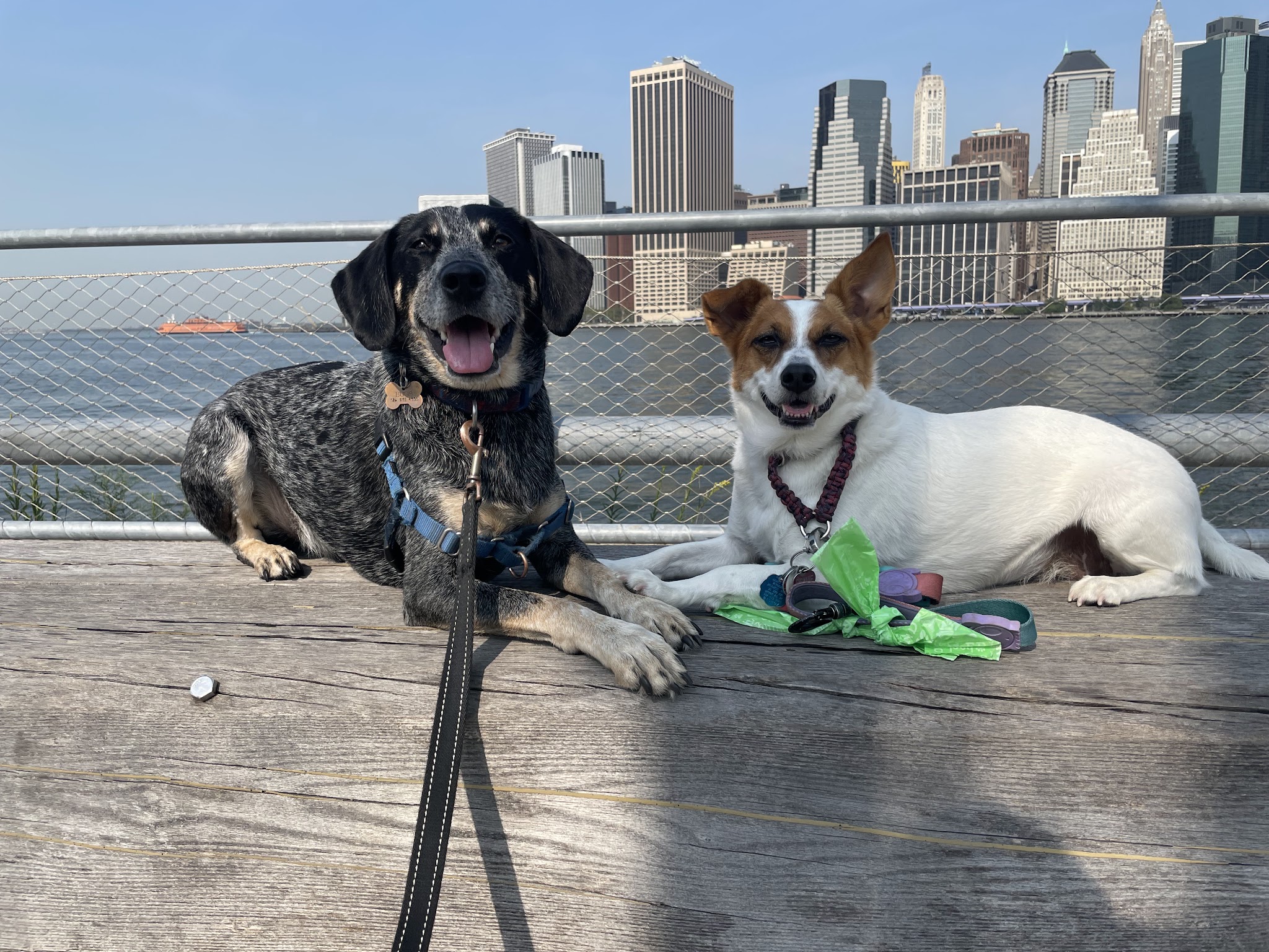 A Walk In The Park BK - ,