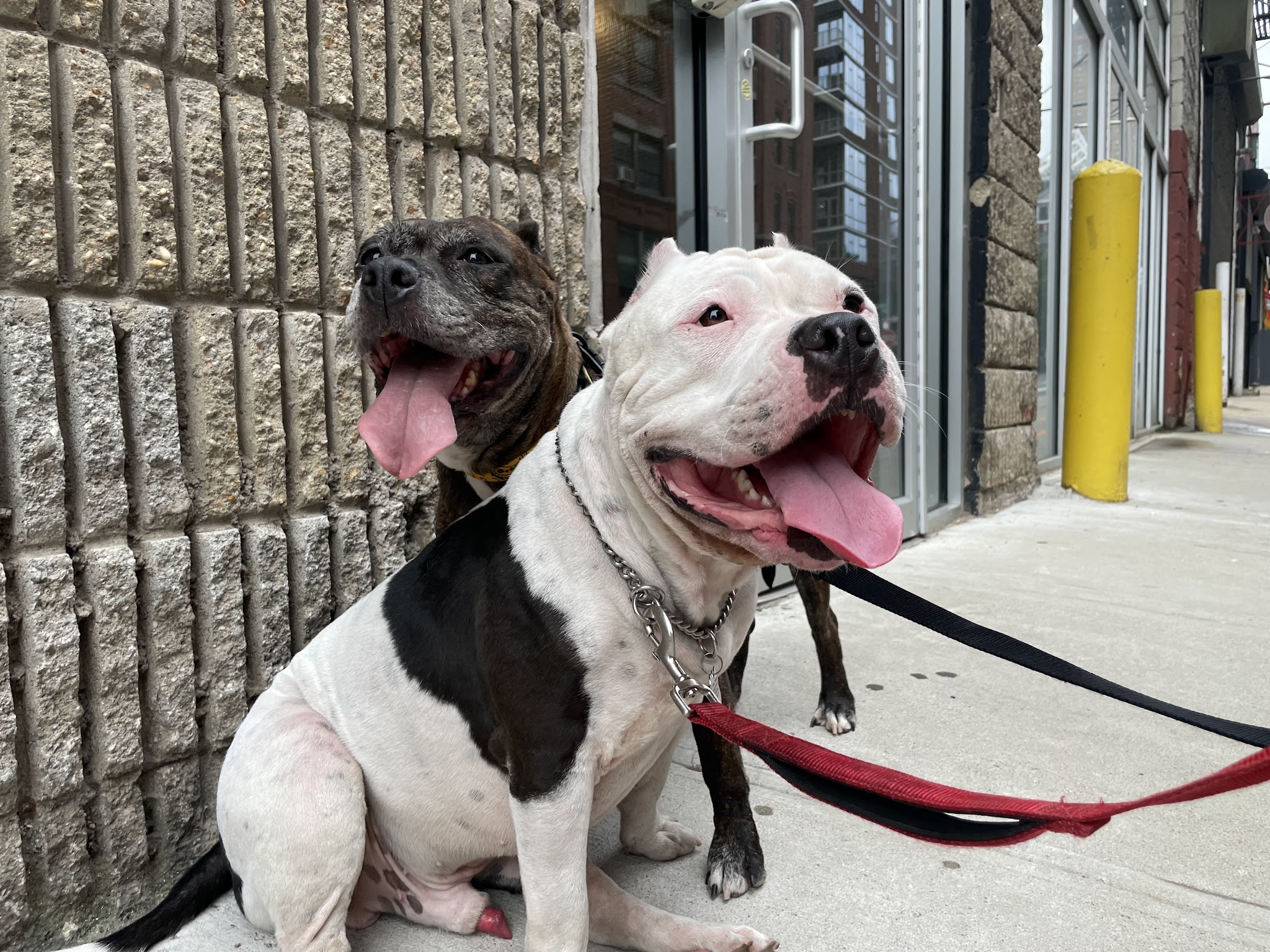 A Walk In The Park BK - ,