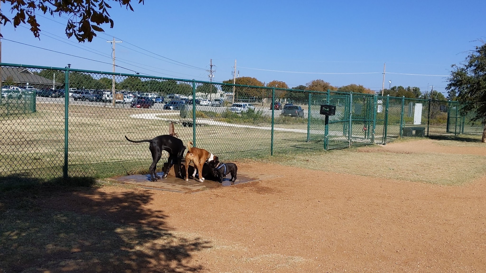 Camp Barkeley Dog Park - Abilene, TX