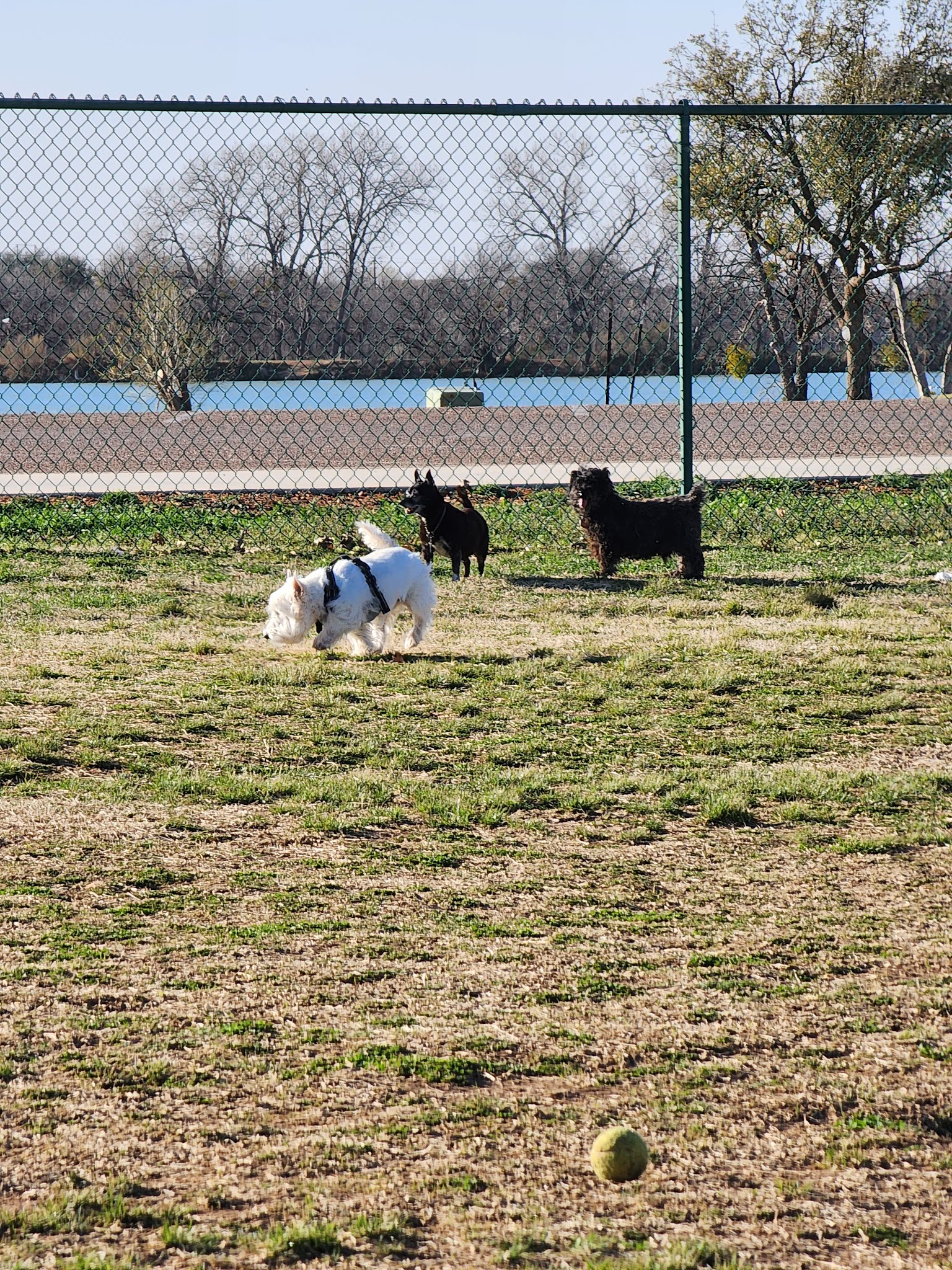 Camp Barkeley Dog Park - Abilene, TX
