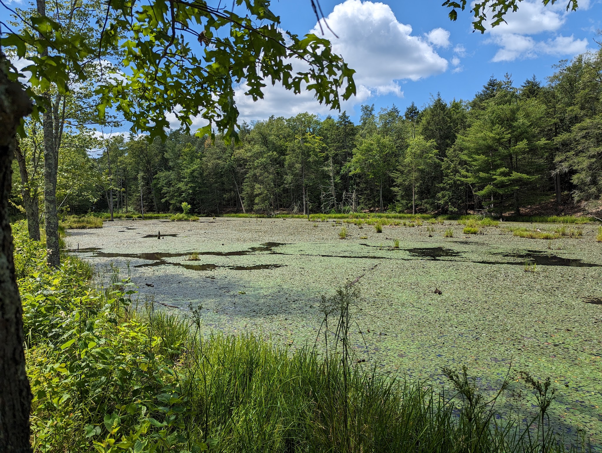 O&W Rail Trail - Accord, NY
