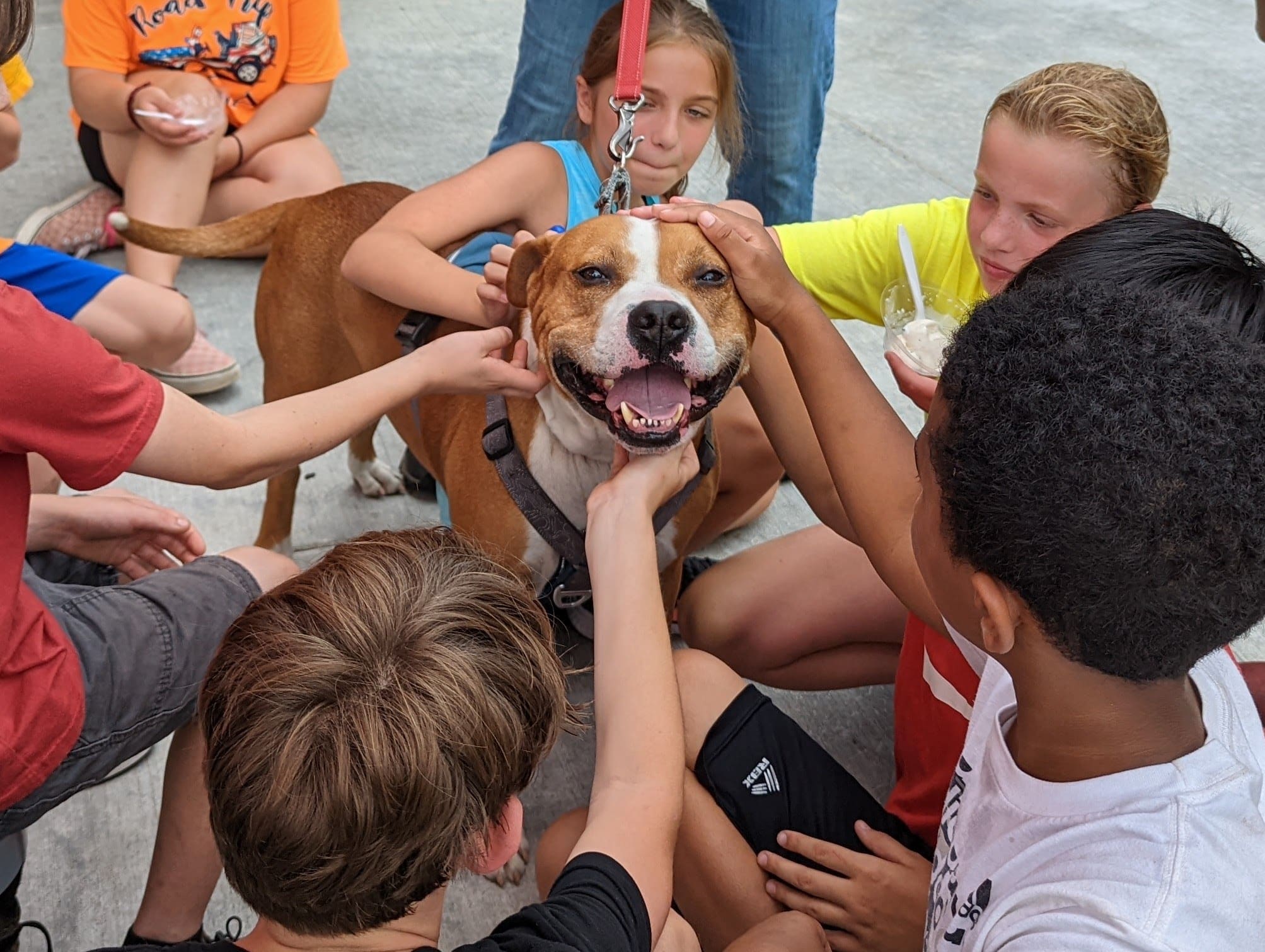 Grammy Rose Dog Rescue & Sanctuary - Acton, ME