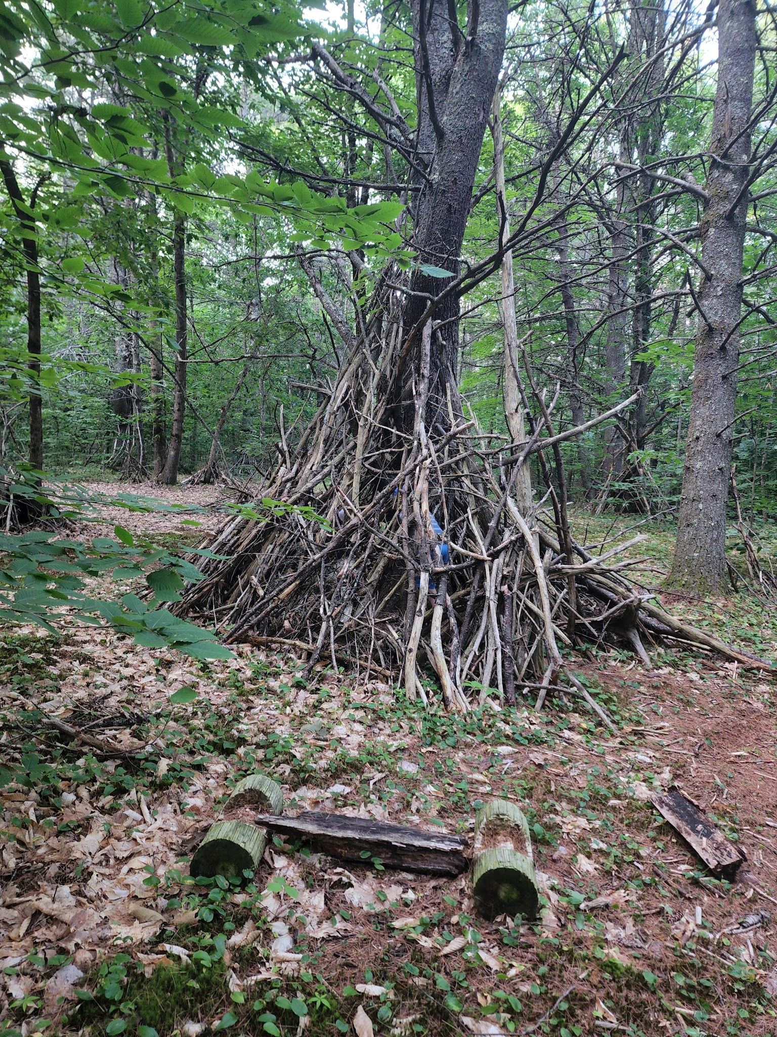 Mary Grant Preserve - Acton, ME