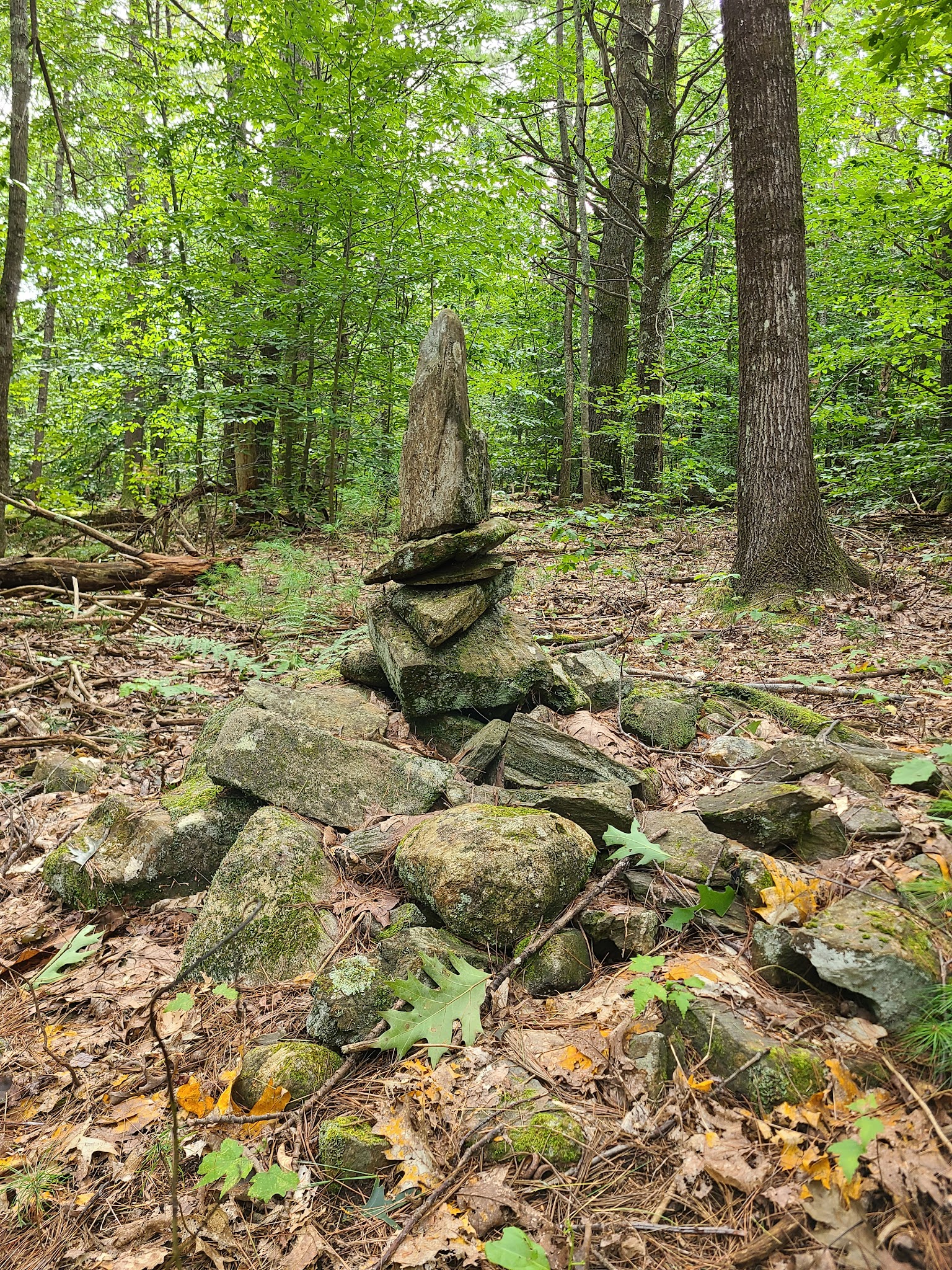 Mary Grant Preserve - Acton, ME
