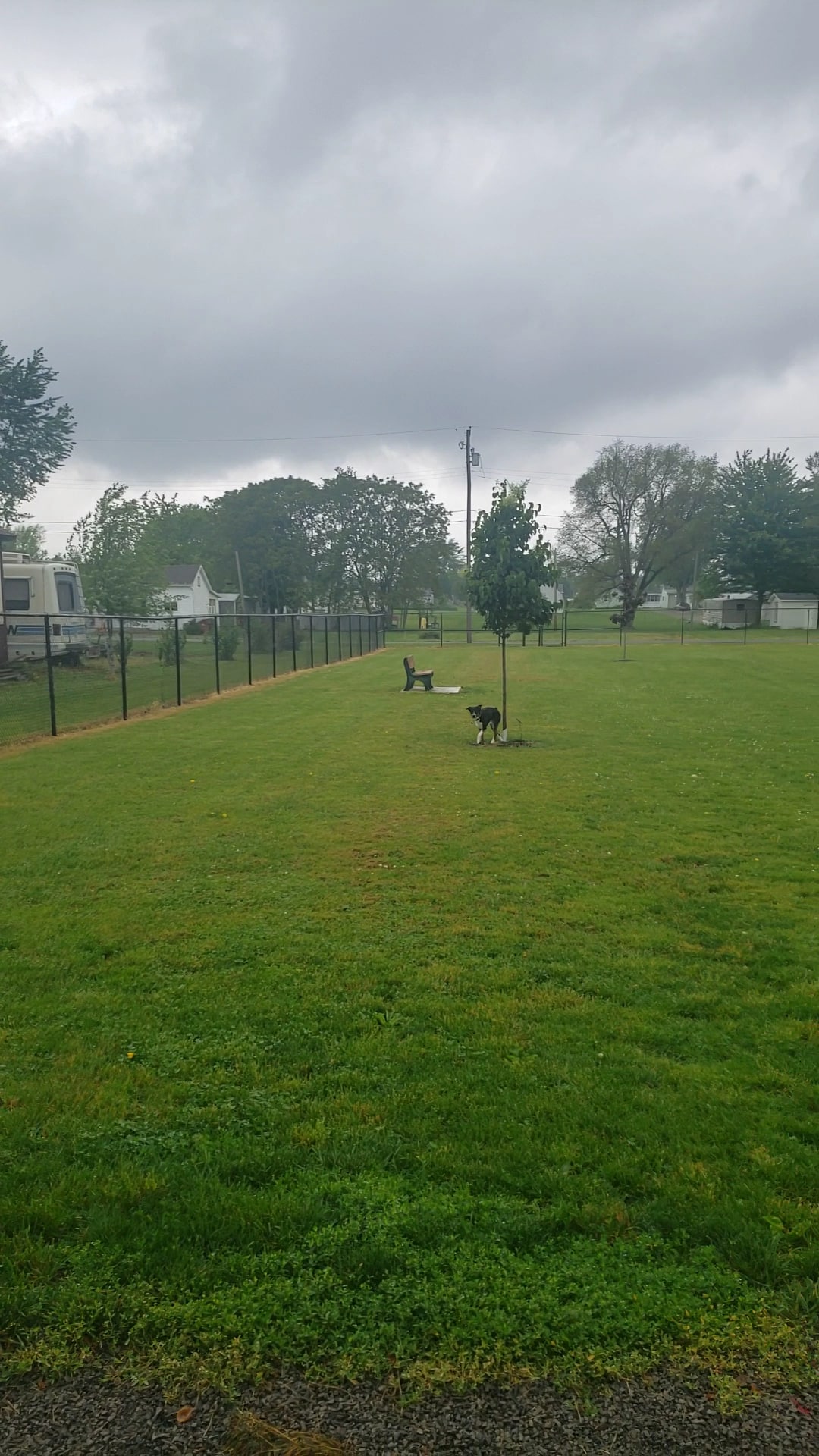 Ada Dog park - Ada, OH