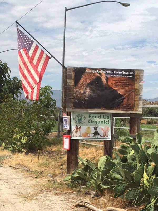 Aguanga Dog Boarding - Pawsnclaws, Inc. - Aguanga, CA