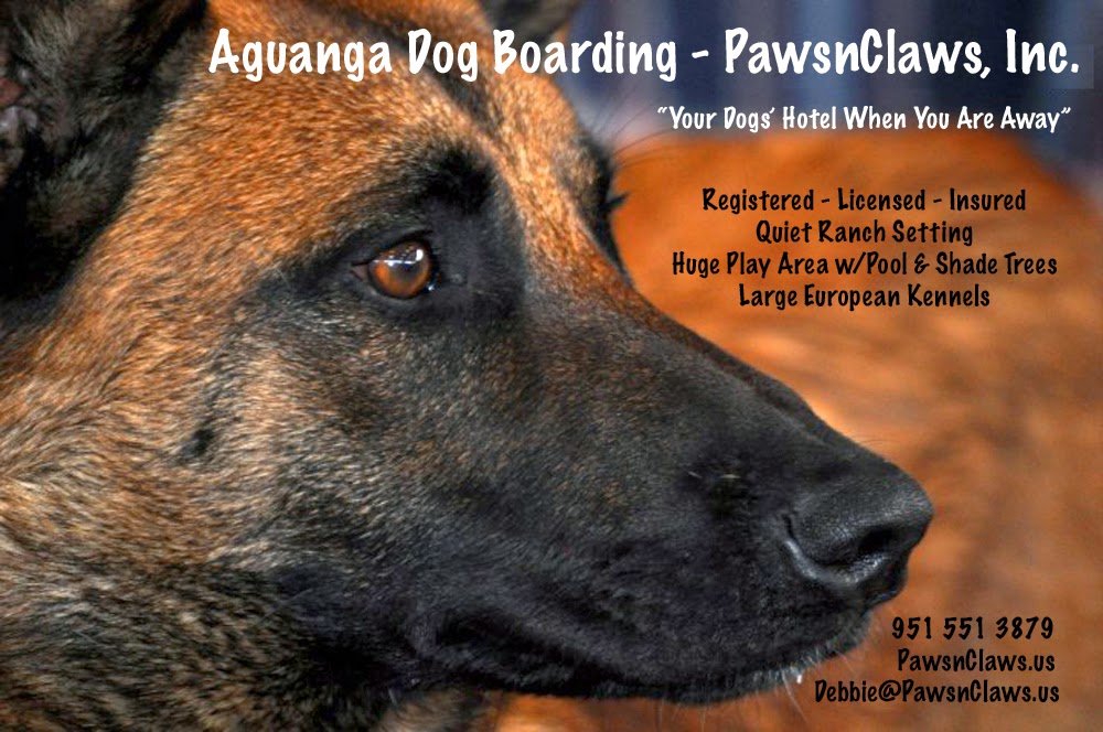 Aguanga Dog Boarding - Pawsnclaws, Inc. - Aguanga, CA
