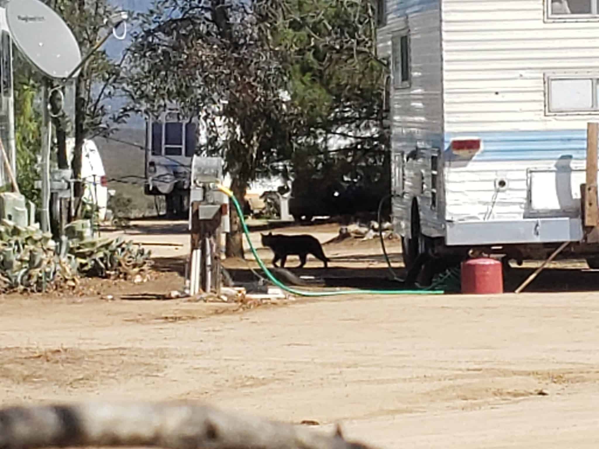 Bradford Run (Formerly Cowboy Country Campground) - Aguanga, CA