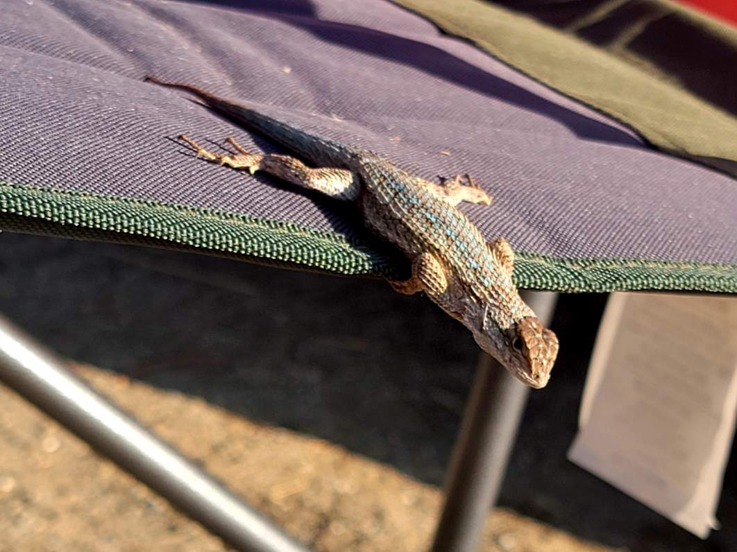 The Upperie of Aguanga - Aguanga, CA