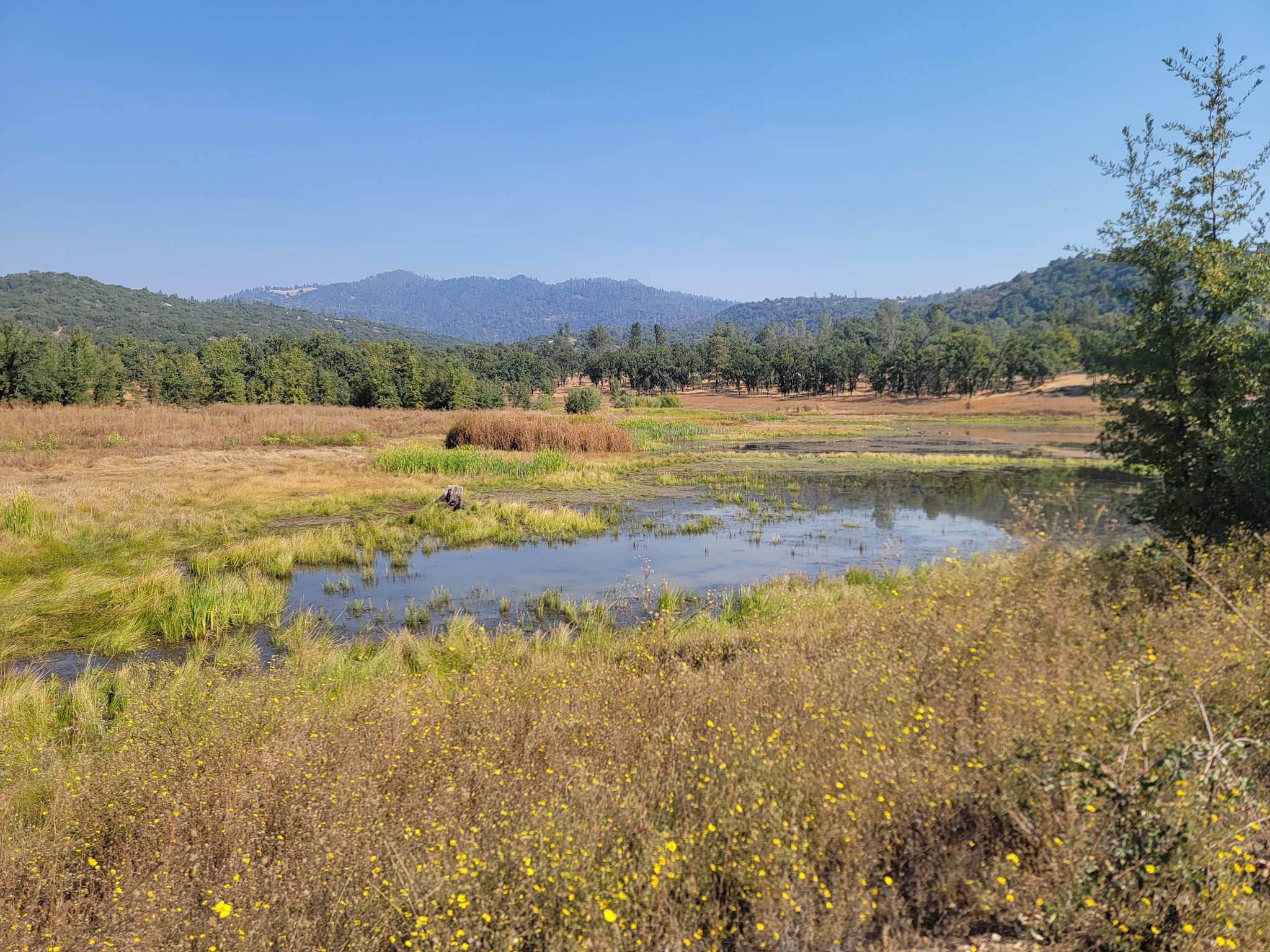 Ahwahnee Hills Regional Park - Ahwahnee, CA