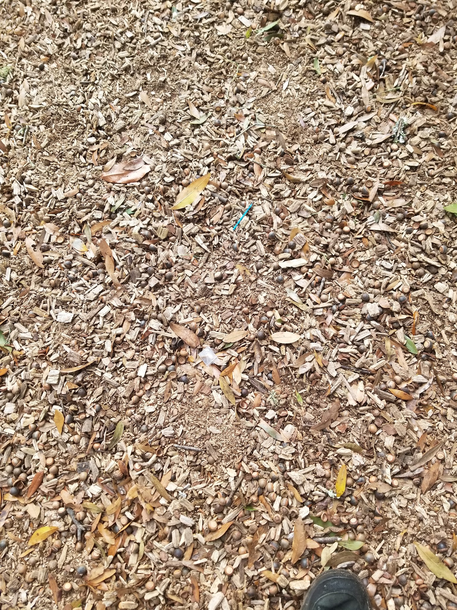 Gerald Criswell Park - Alachua, FL