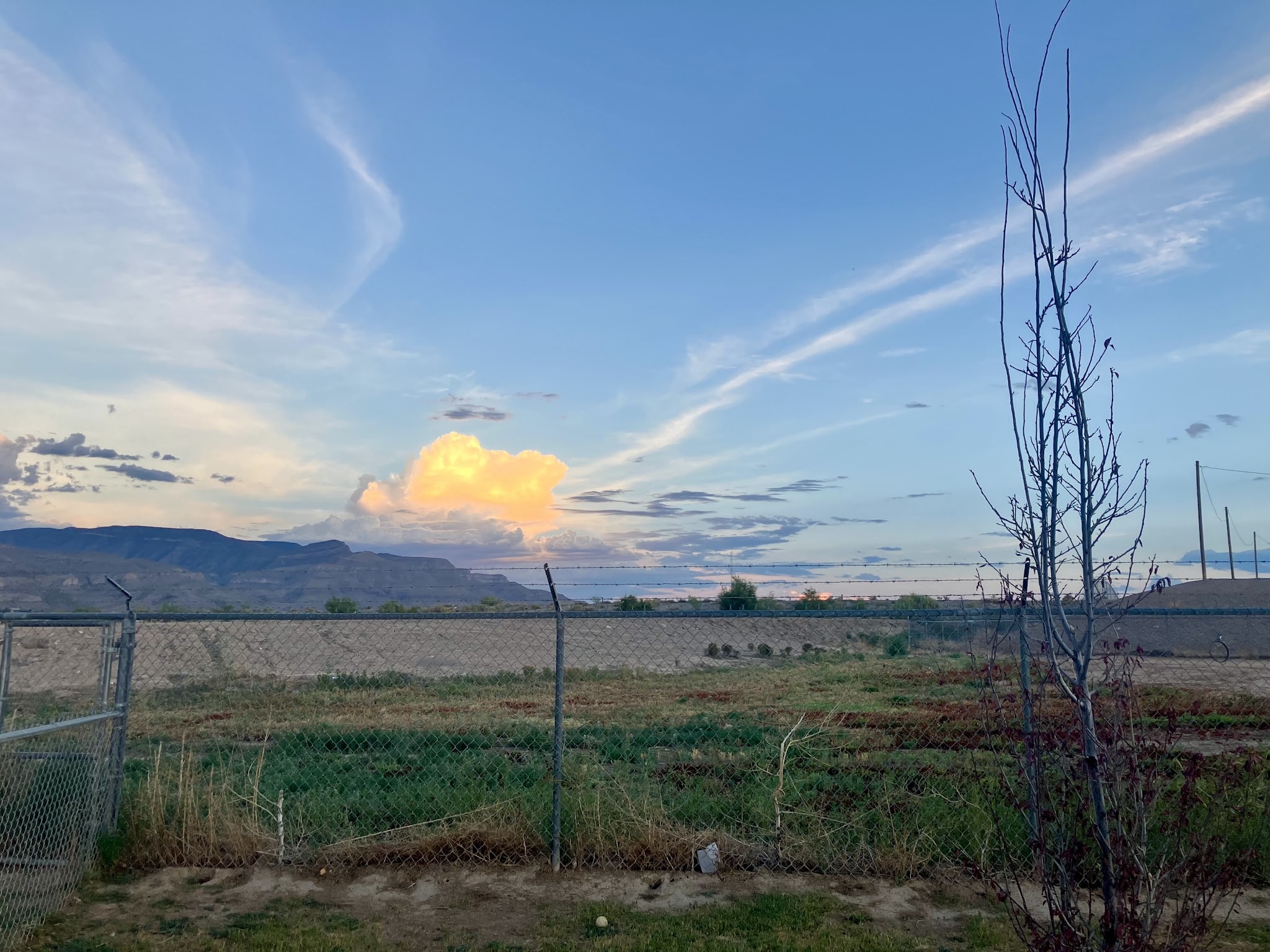 Bark Park - Alamogordo, NM