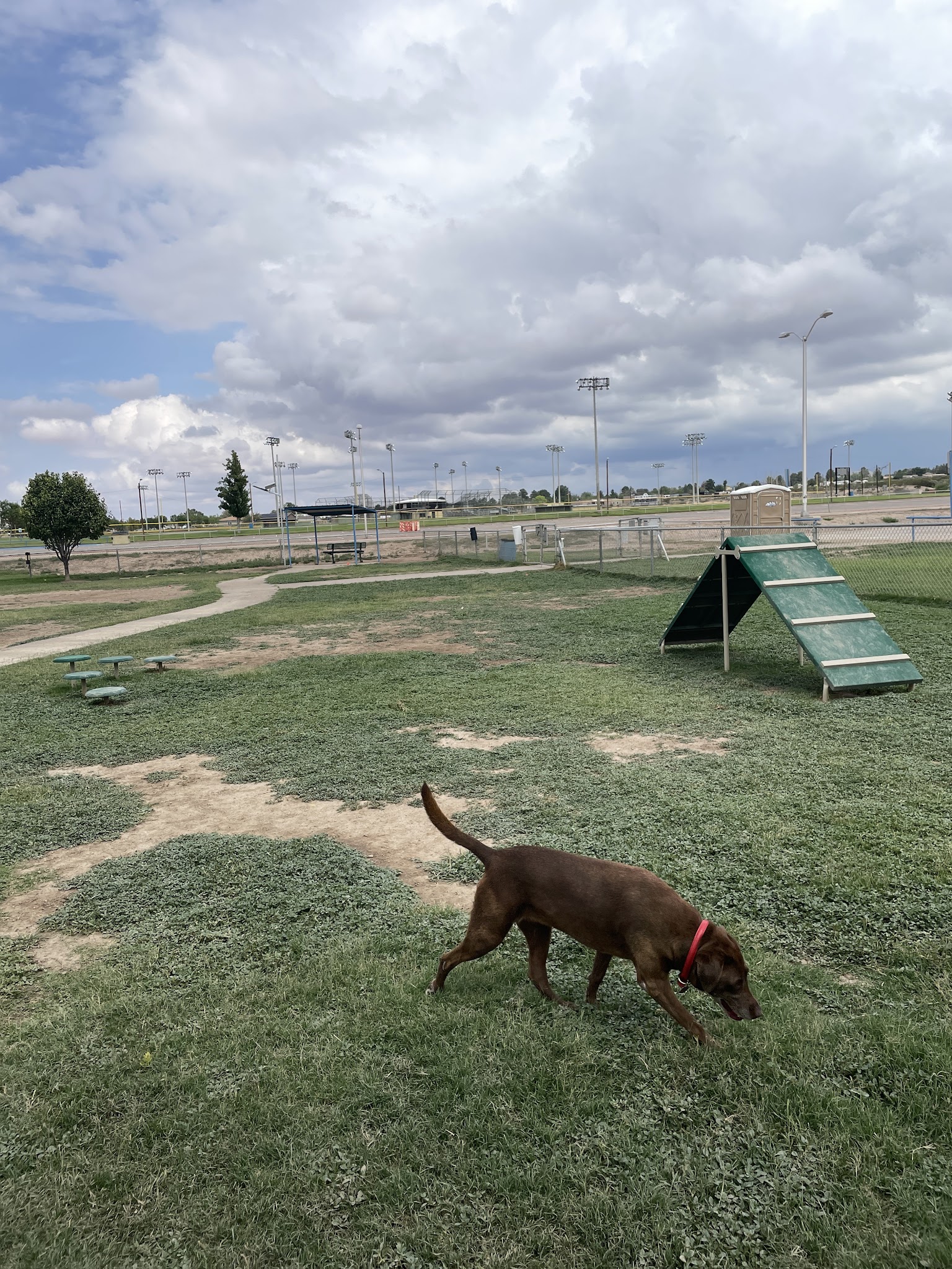 Bark Park - Alamogordo, NM