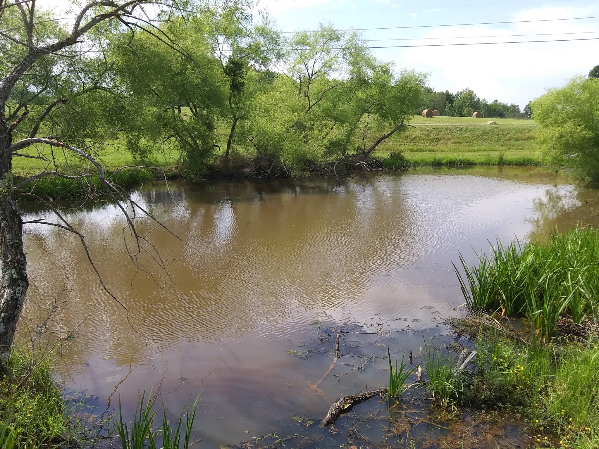 Rowena Boat & RV storage - Albany, KY