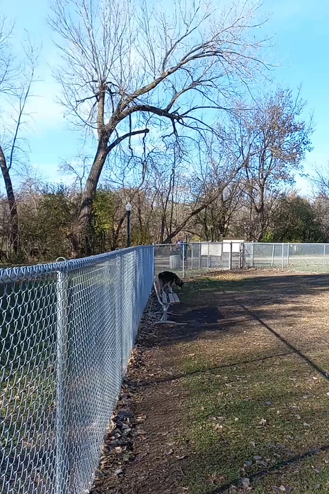 Brookside Dog Park - Albert Lea, MN