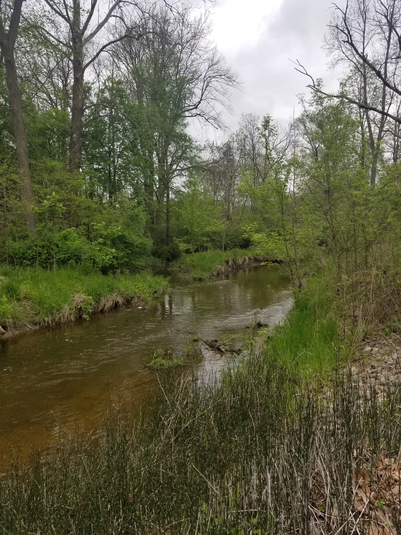 Hidden Diamonds Park - Albion, IN