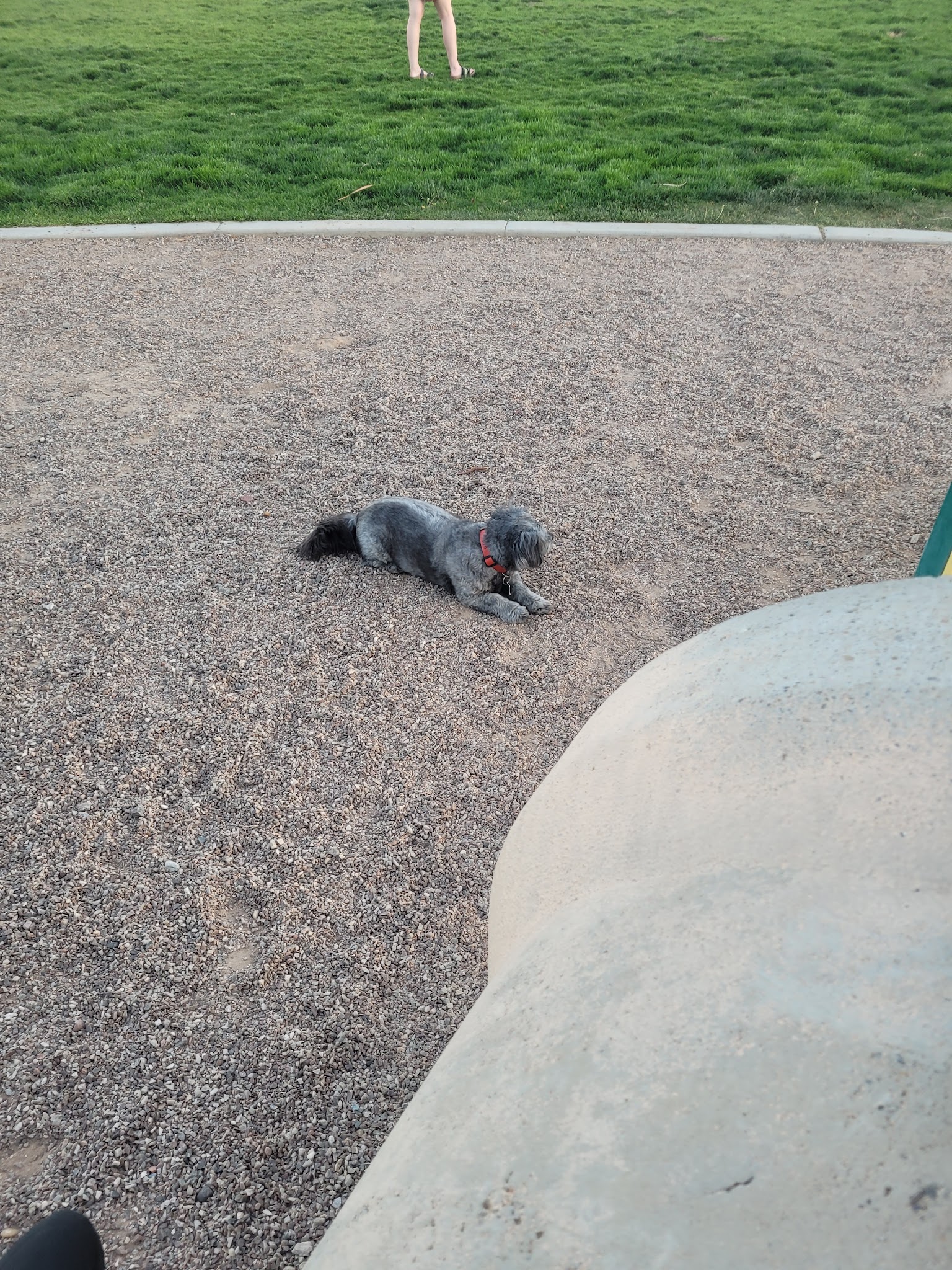 Abel's Dog Park - Albuquerque, NM