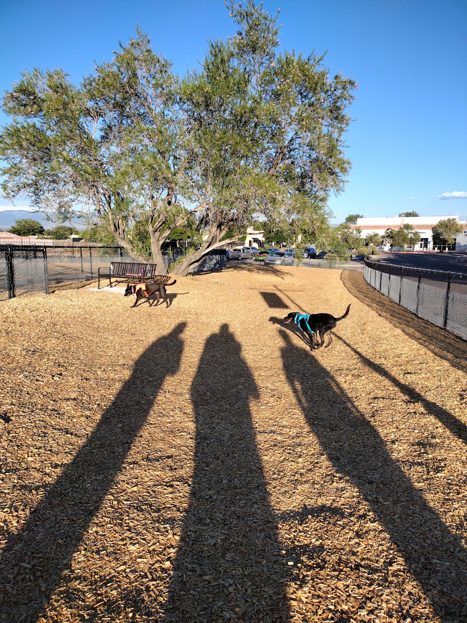 Alamosa Dog Park - Albuquerque, NM