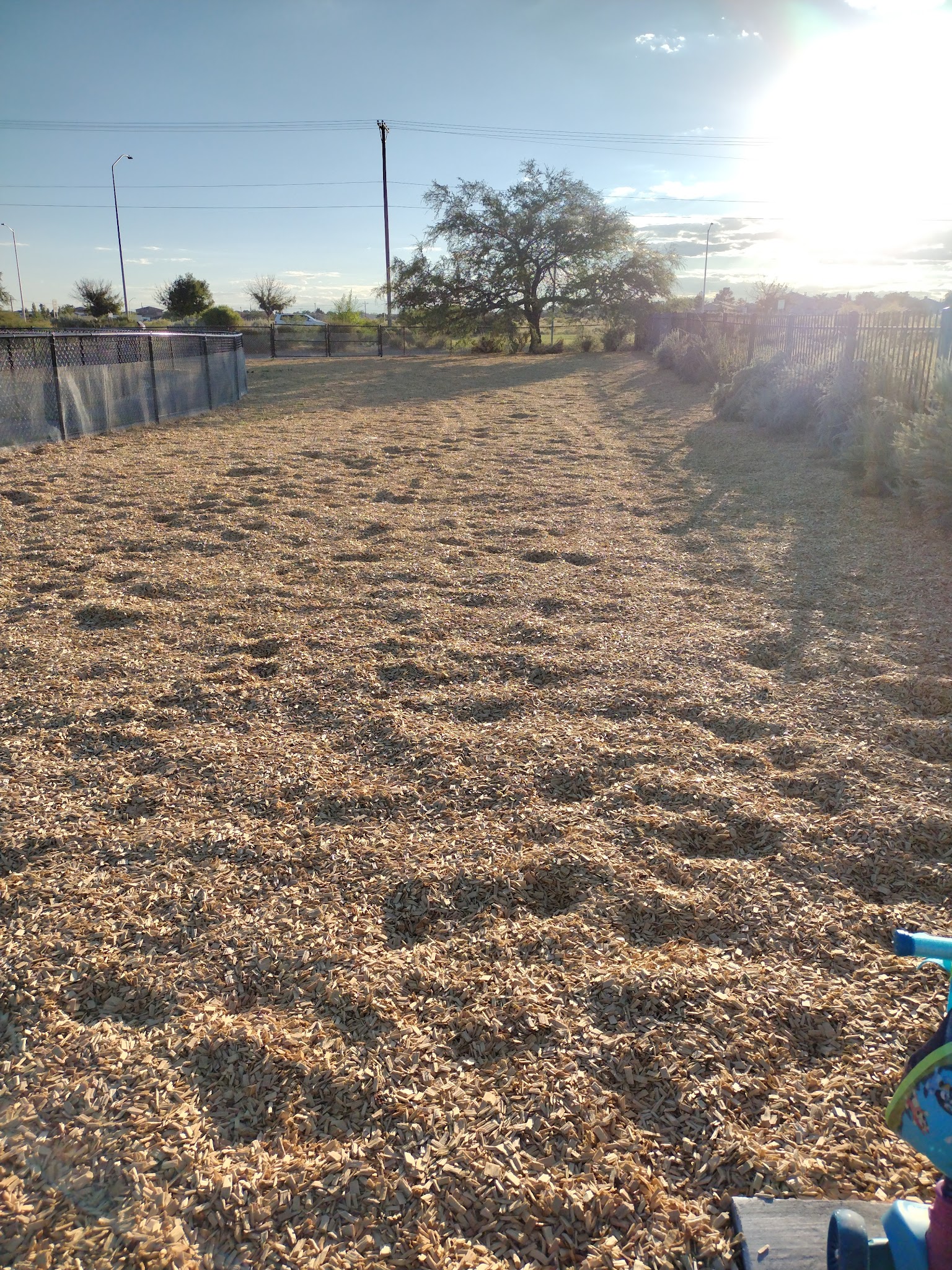 Alamosa Dog Park - Albuquerque, NM