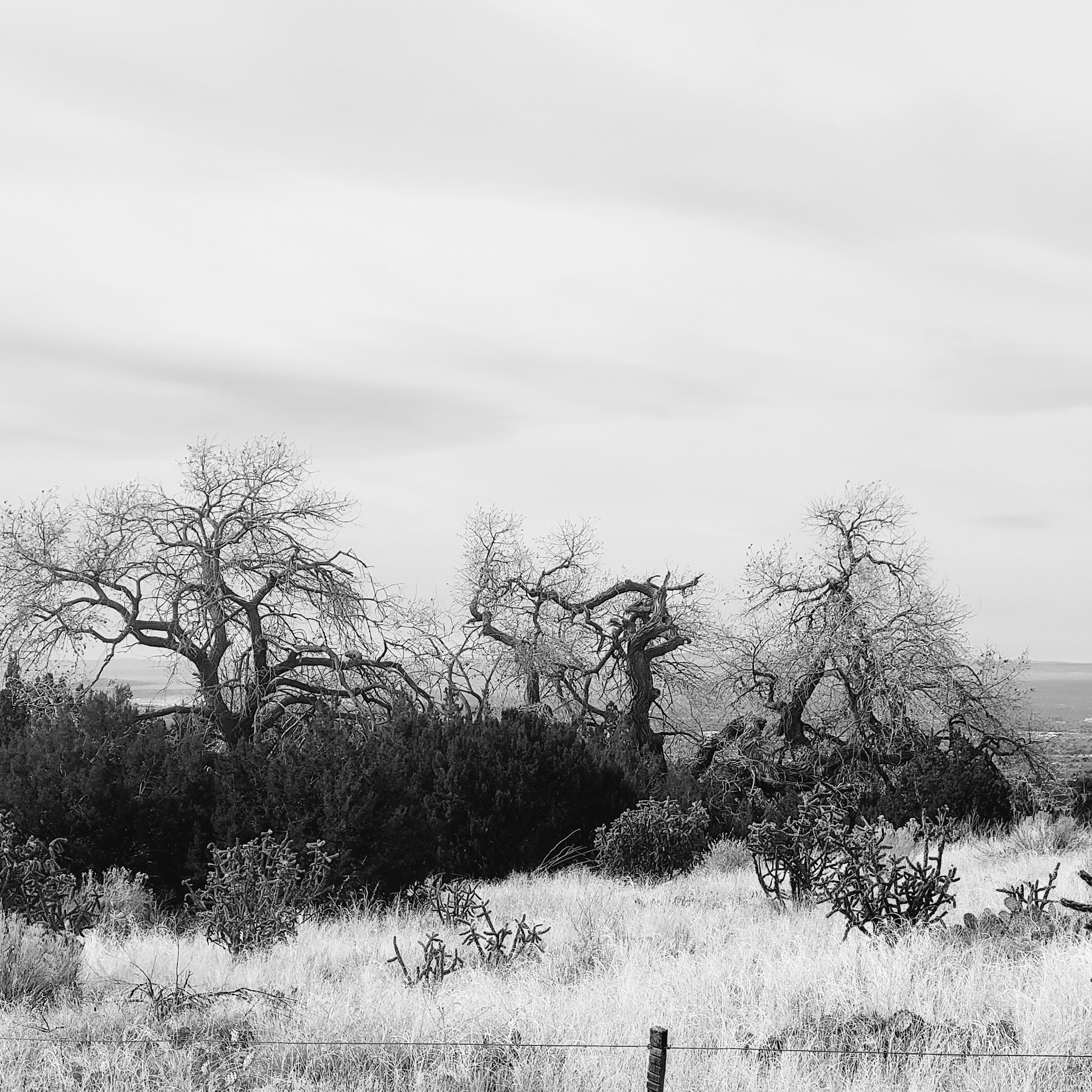 Cottonwood Springs Elena Gallegos Trailhead - Albuquerque, NM