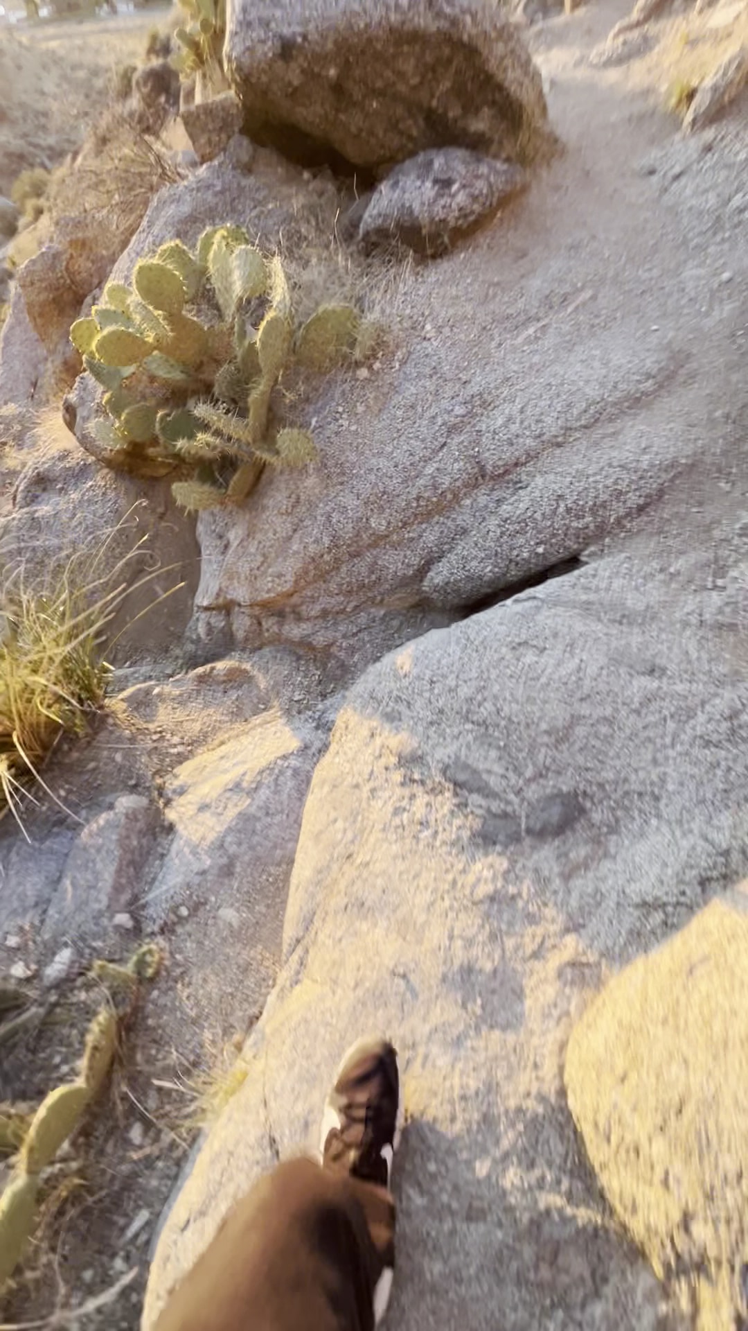Granite Face on Whitewash Trail - Albuquerque, NM