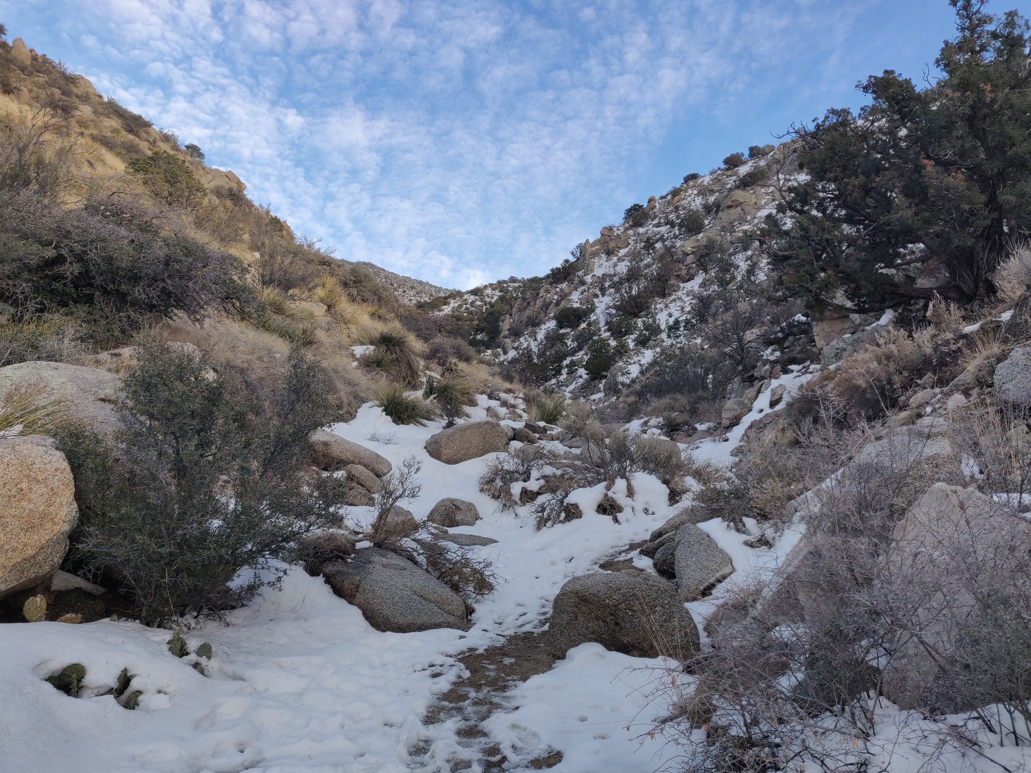 Granite Face on Whitewash Trail - Albuquerque, NM