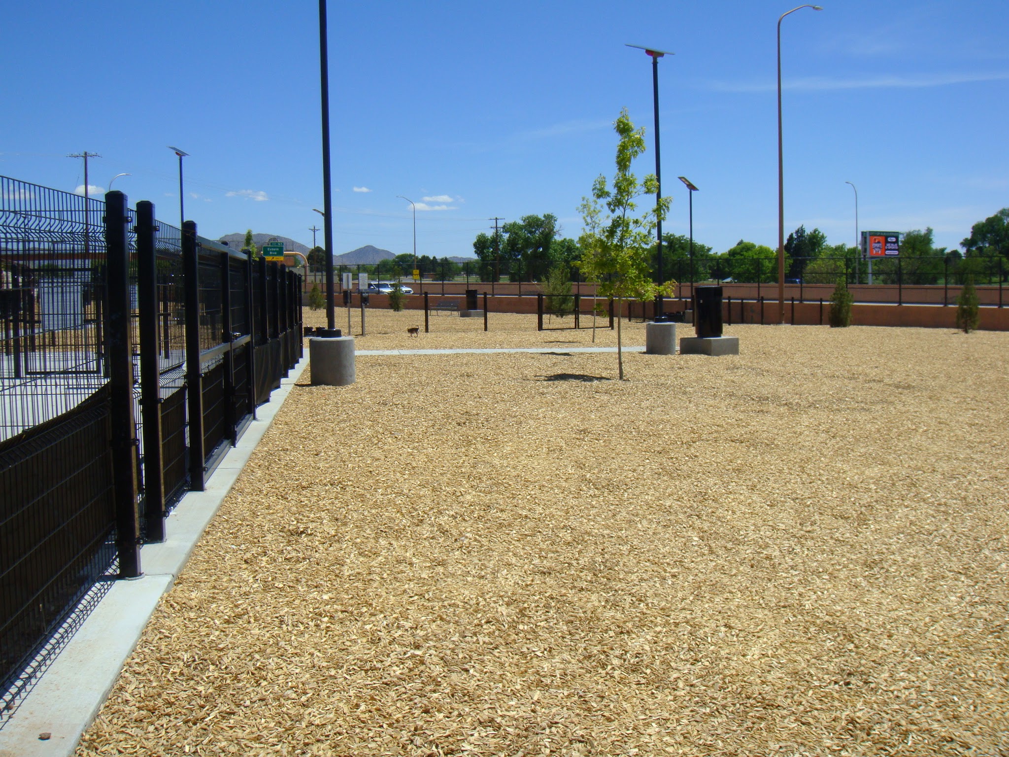 Los Altos Dog Park - Albuquerque, NM