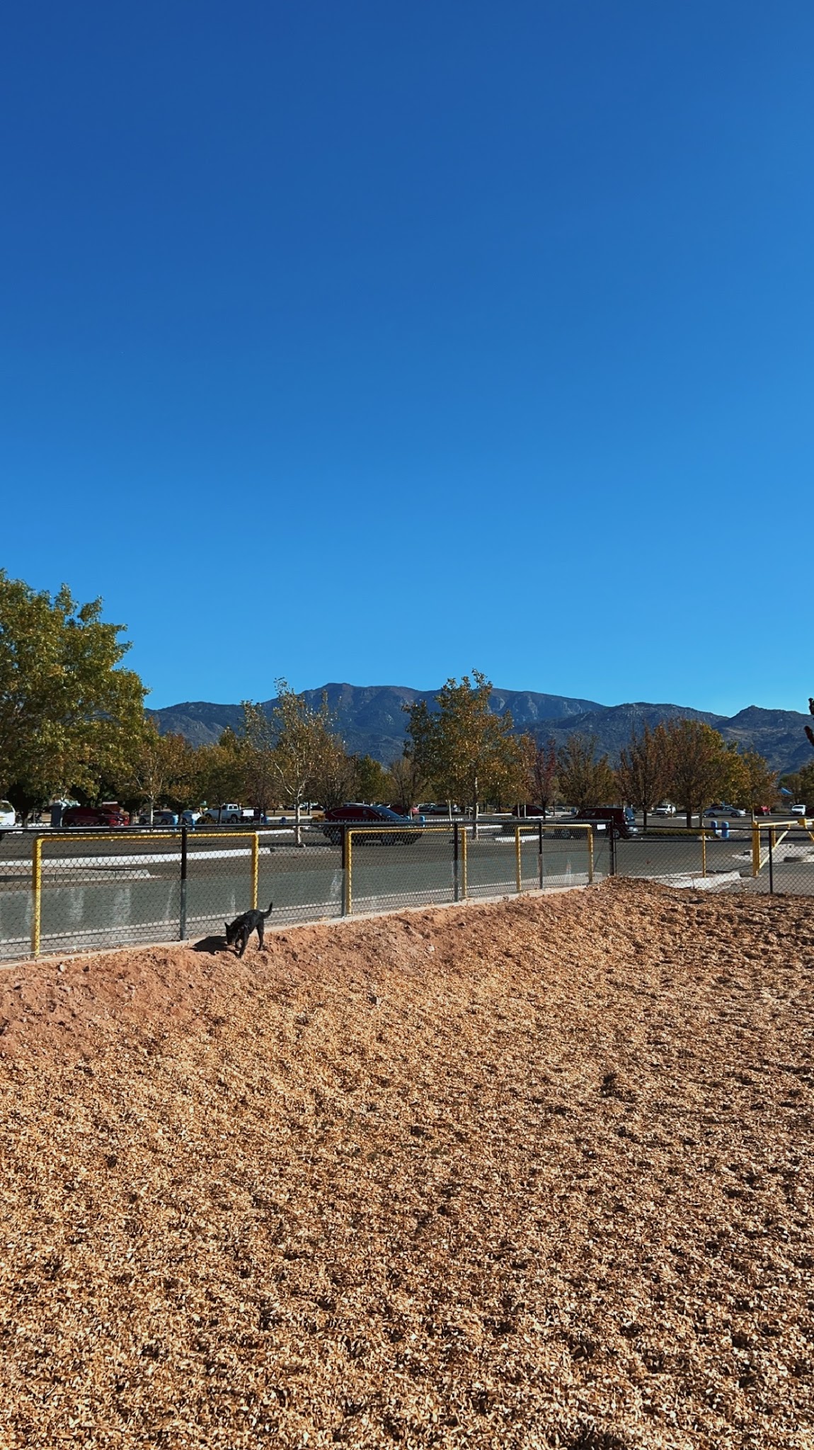 Manzano Mesa Dog Park - Albuquerque, NM