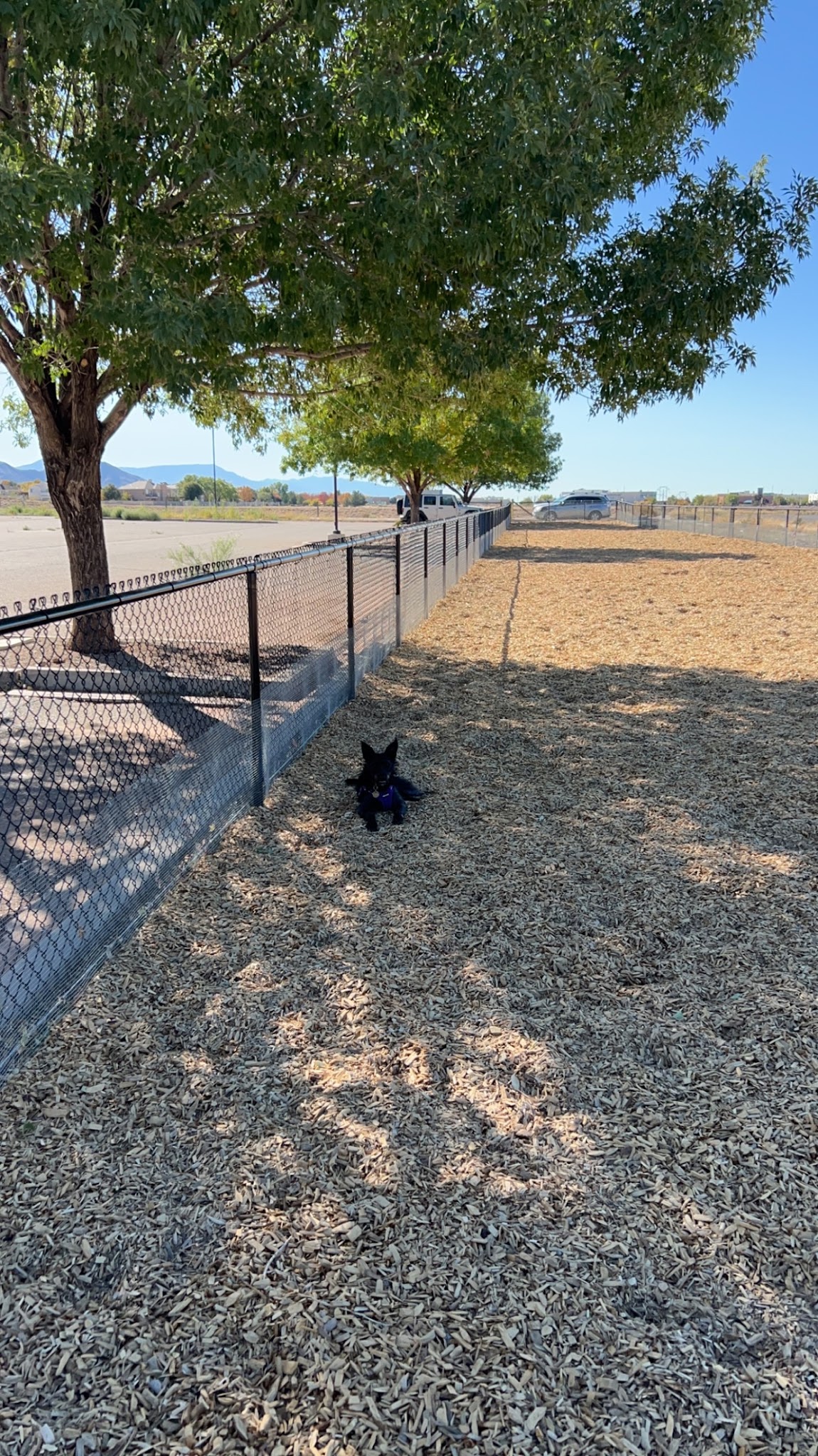 Manzano Mesa Dog Park - Albuquerque, NM