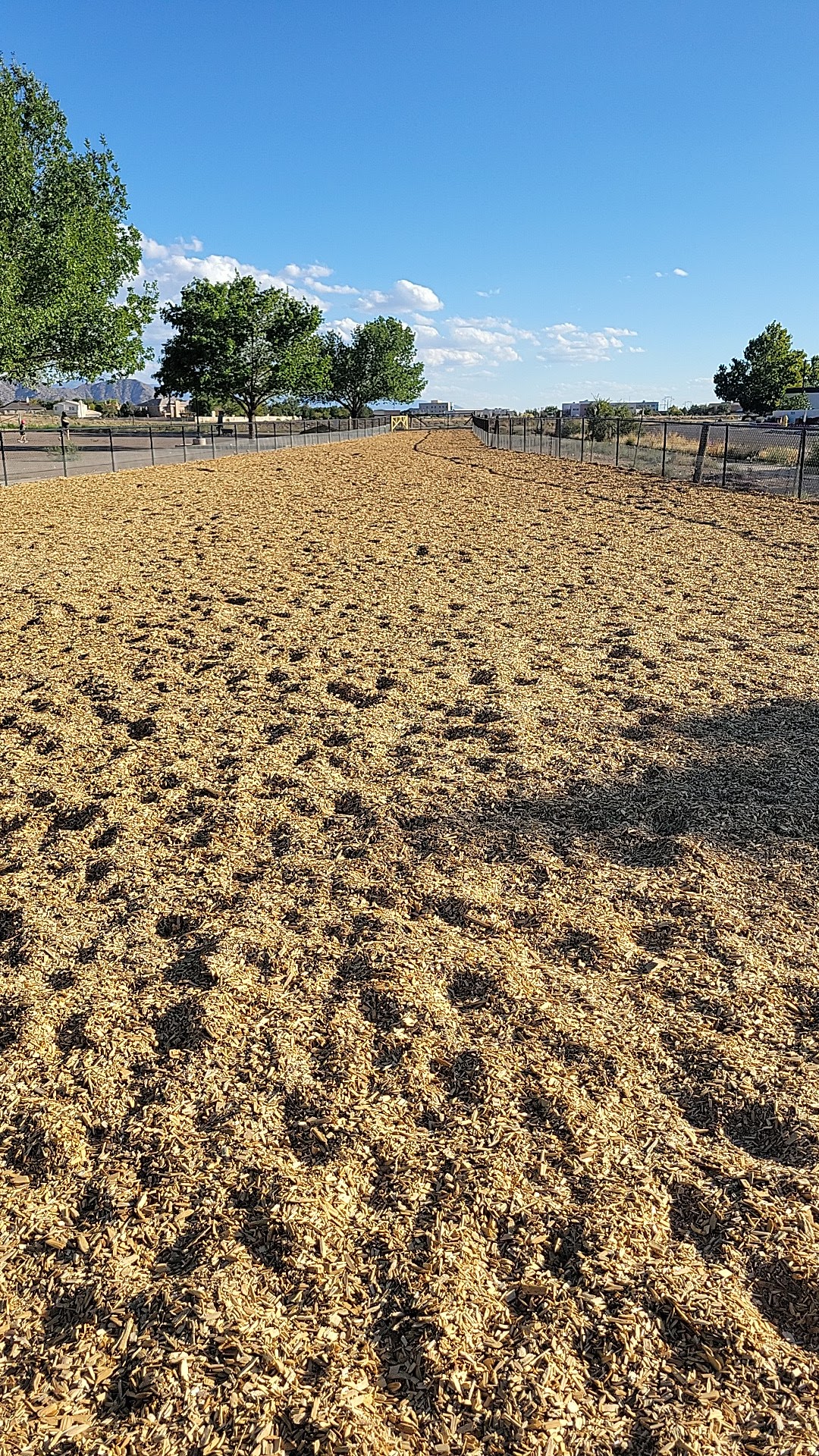 Manzano Mesa Dog Park - Albuquerque, NM