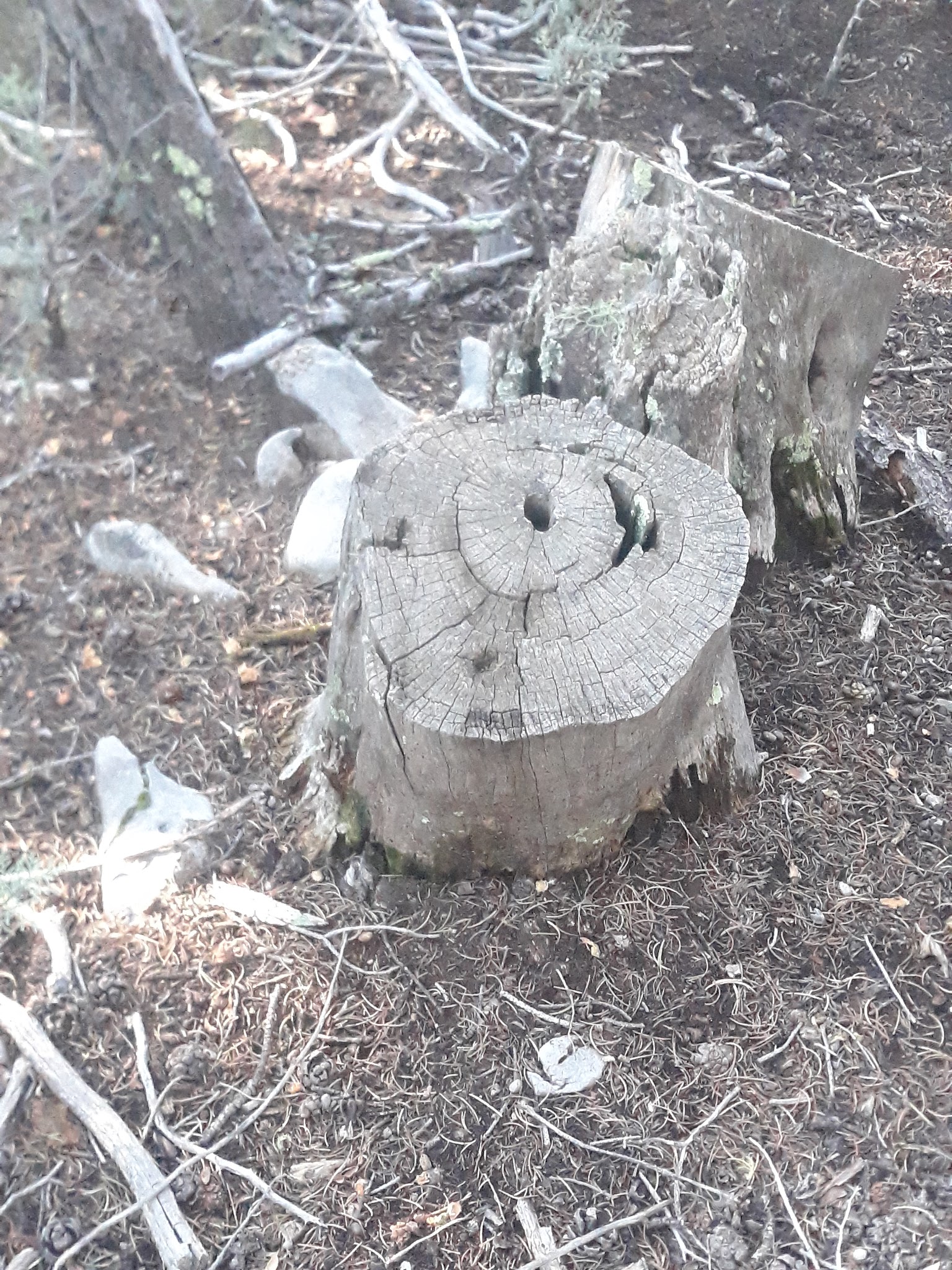 Montessa Dog Park - Albuquerque, NM