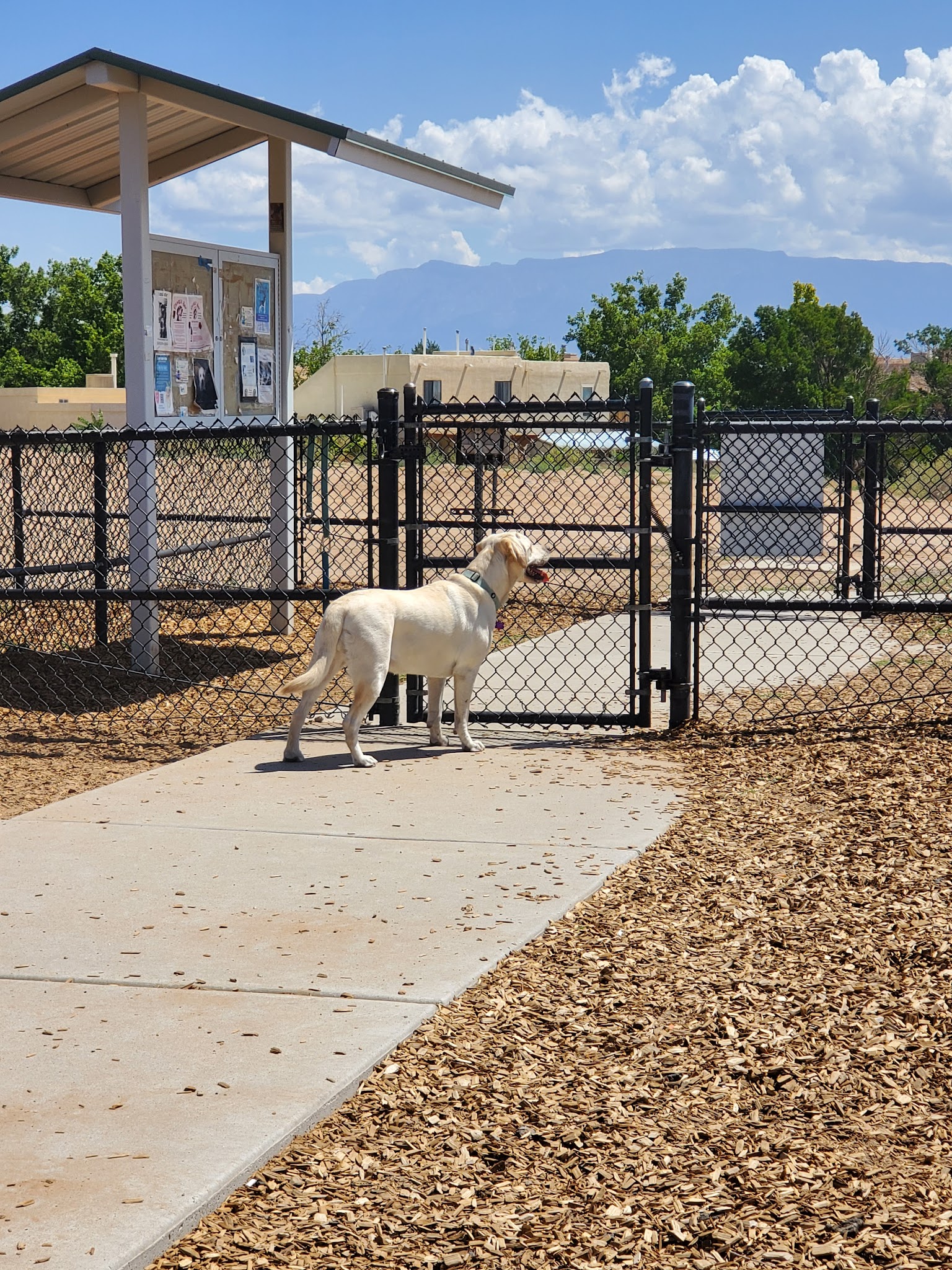 Ouray Dog Park - Albuquerque, NM