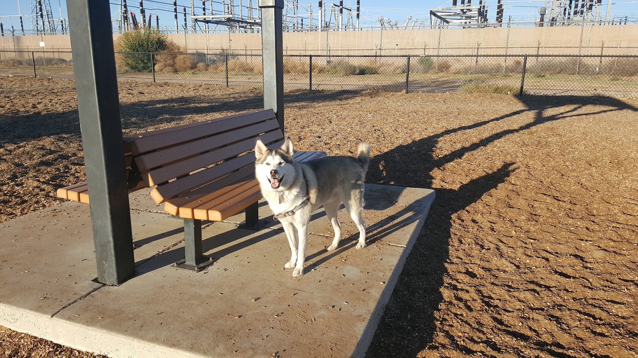 Ouray Dog Park - Albuquerque, NM