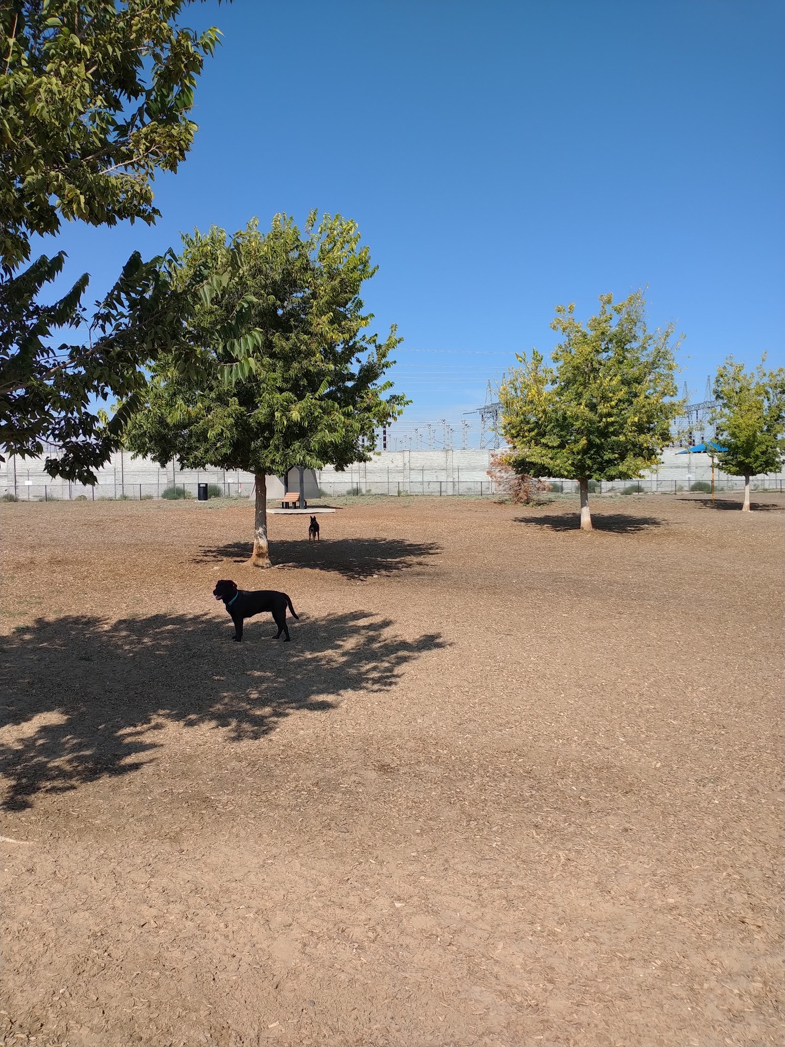 Ouray Dog Park - Albuquerque, NM