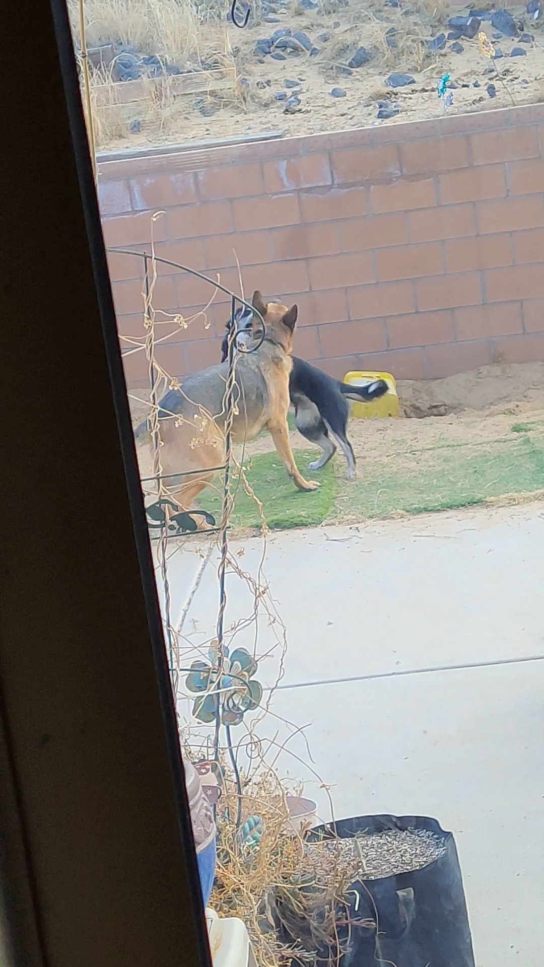 Santa Fe Village Dog Park - Albuquerque, NM