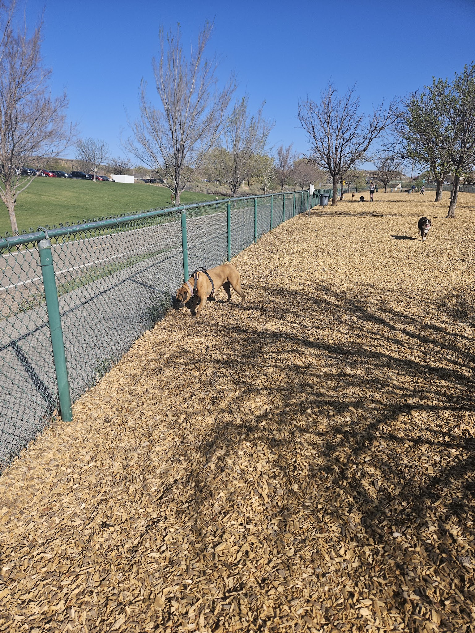 Santa Fe Village Dog Park - Albuquerque, NM