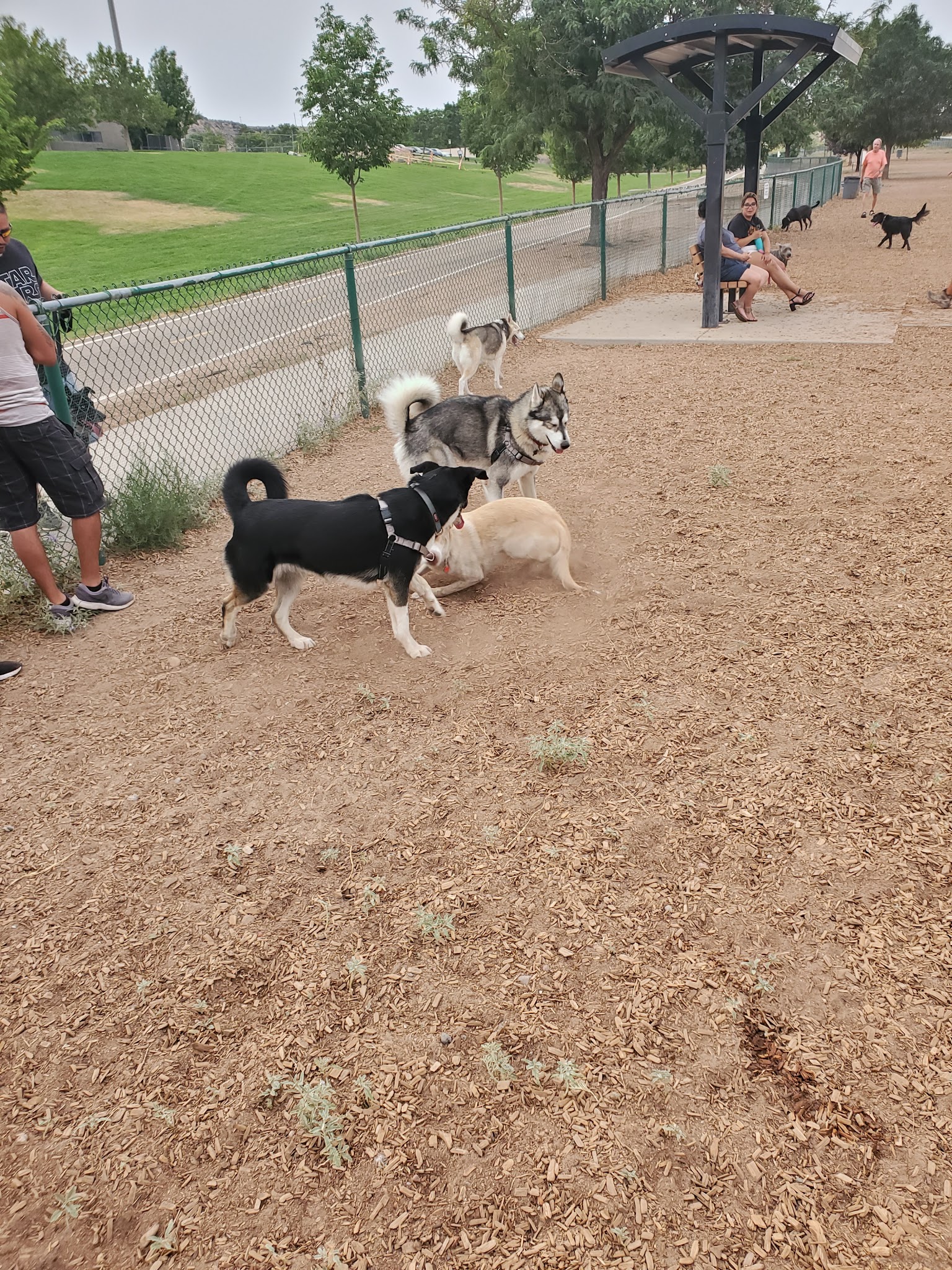 Santa Fe Village Dog Park - Albuquerque, NM