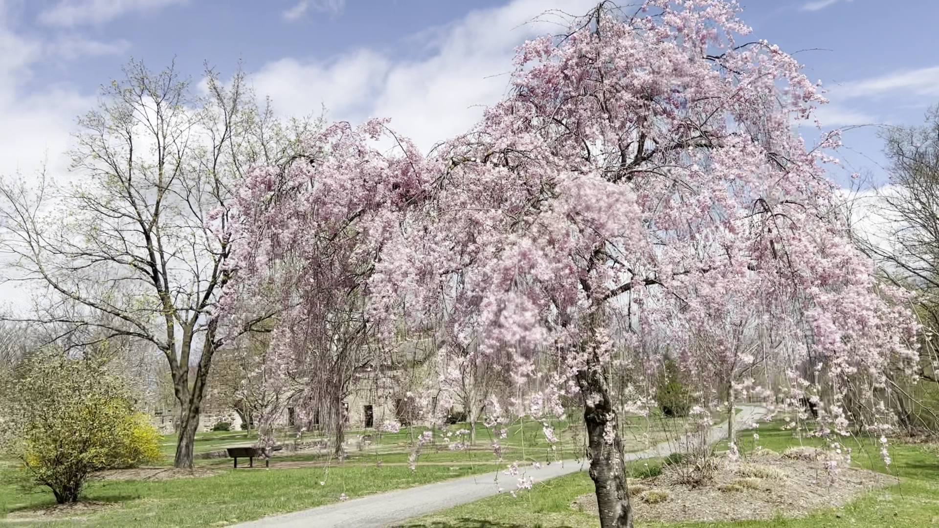 Lock Ridge Park - Alburtis, PA