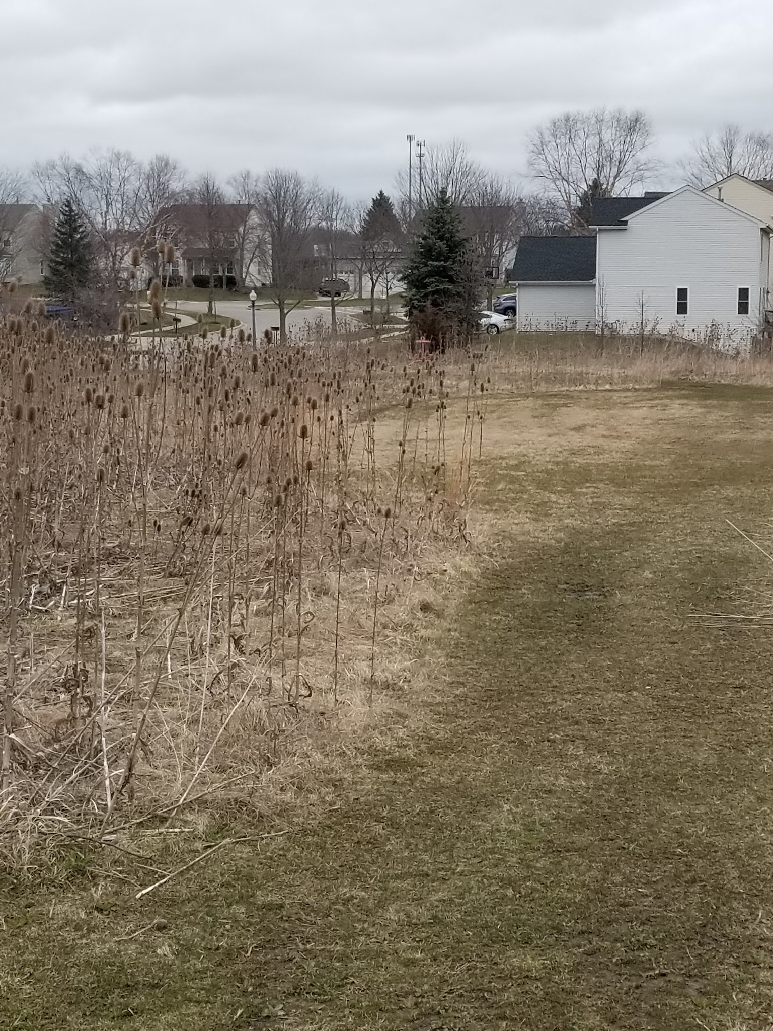 Algonquin Lakes Park - Algonquin, IL