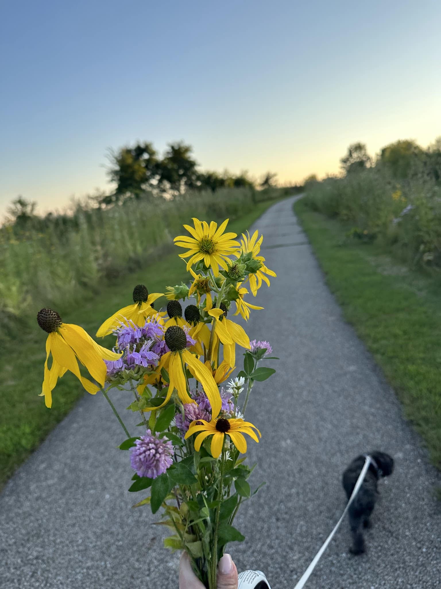 Algonquin Lakes Park - Algonquin, IL