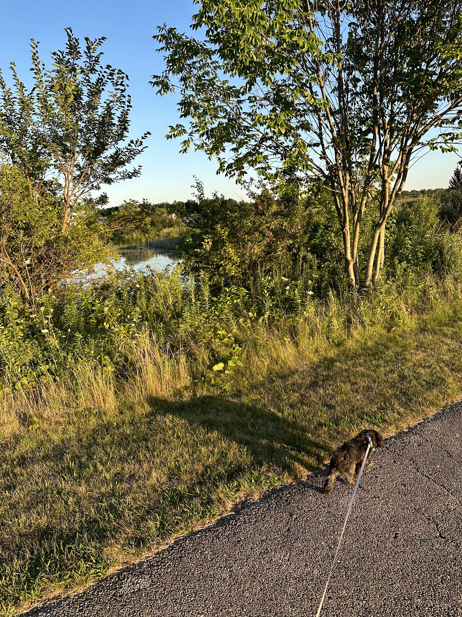 Algonquin Lakes Park - Algonquin, IL