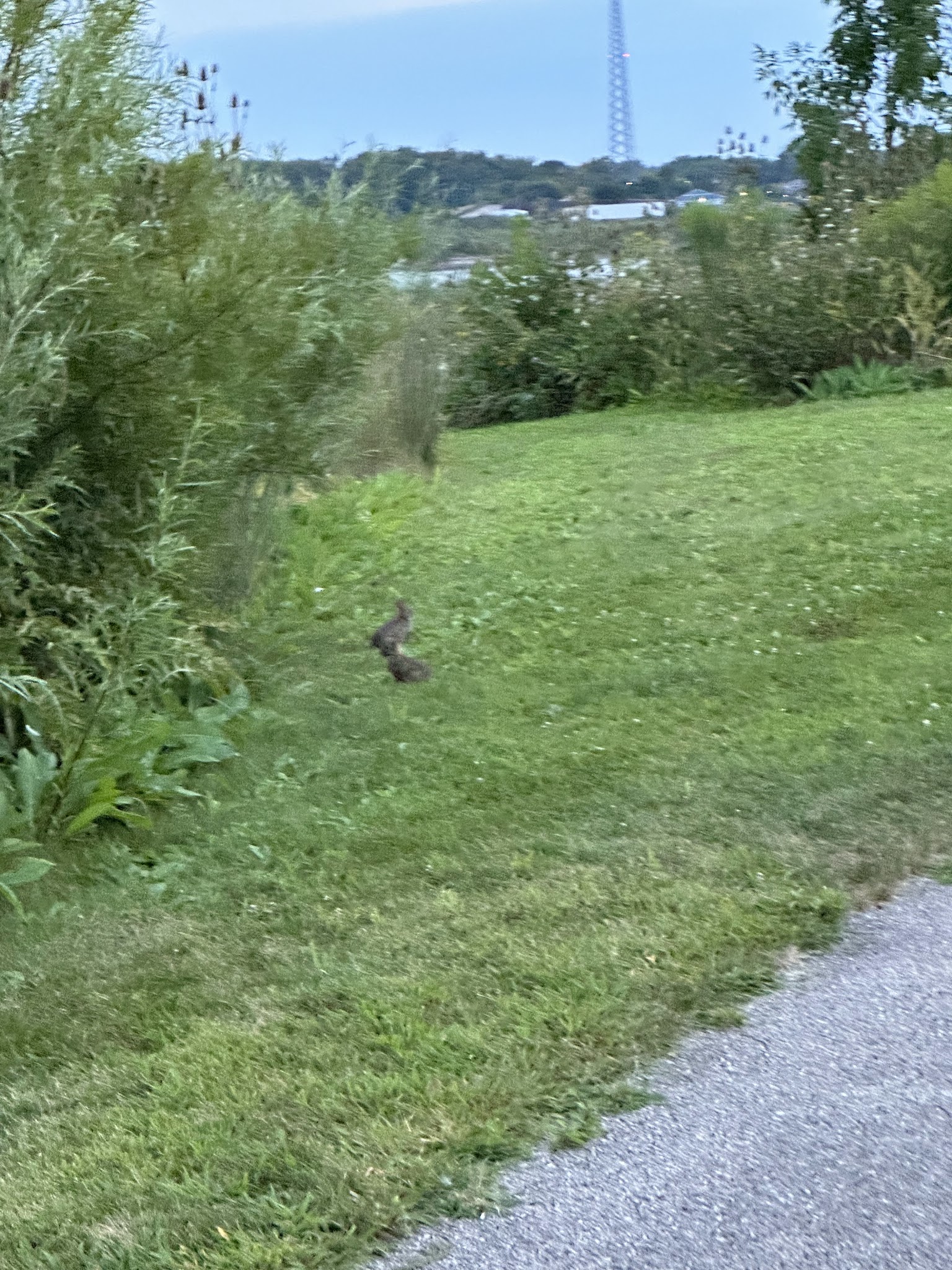 Algonquin Lakes Park - Algonquin, IL
