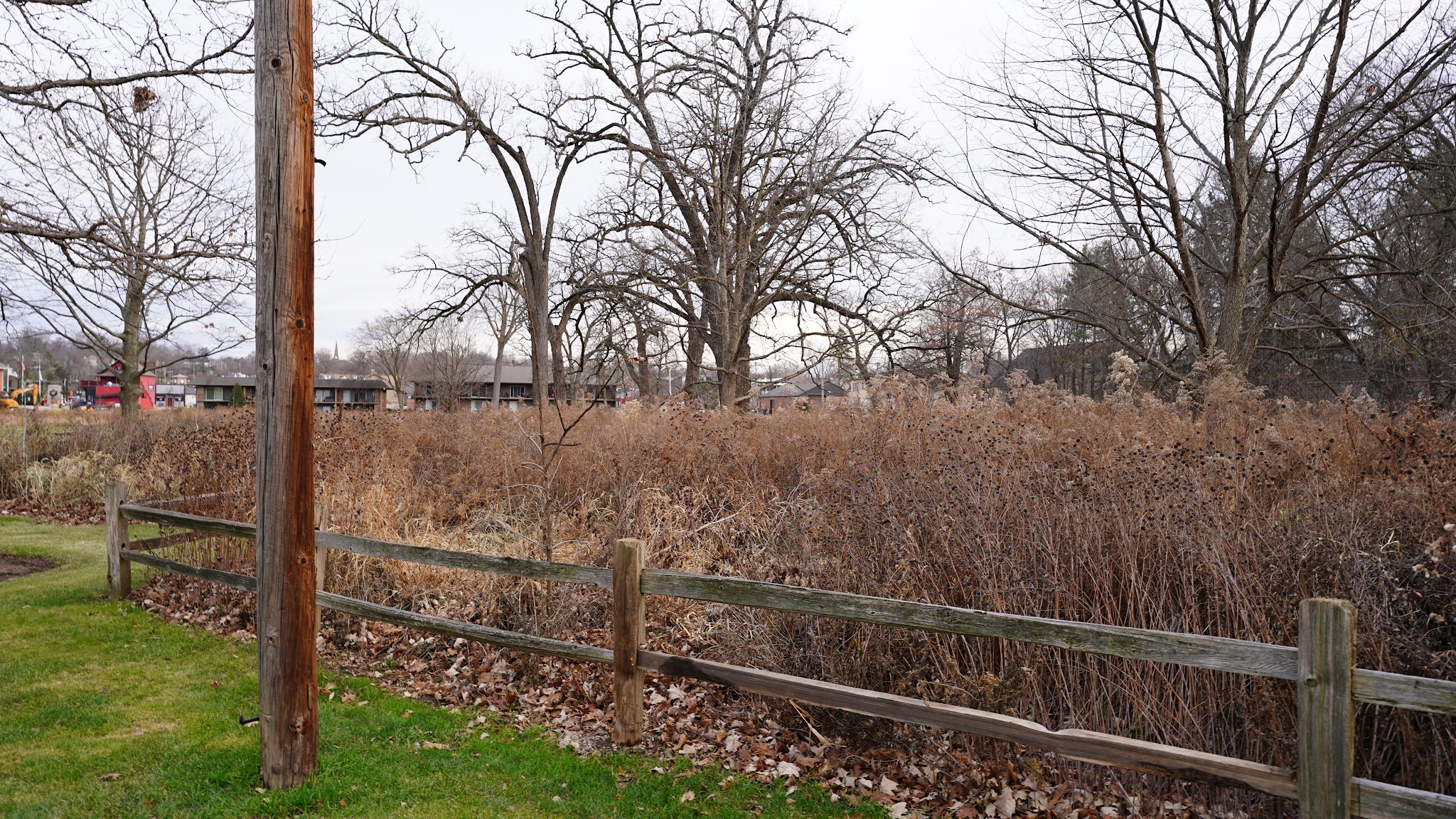 Algonquin stop and start - Algonquin, IL