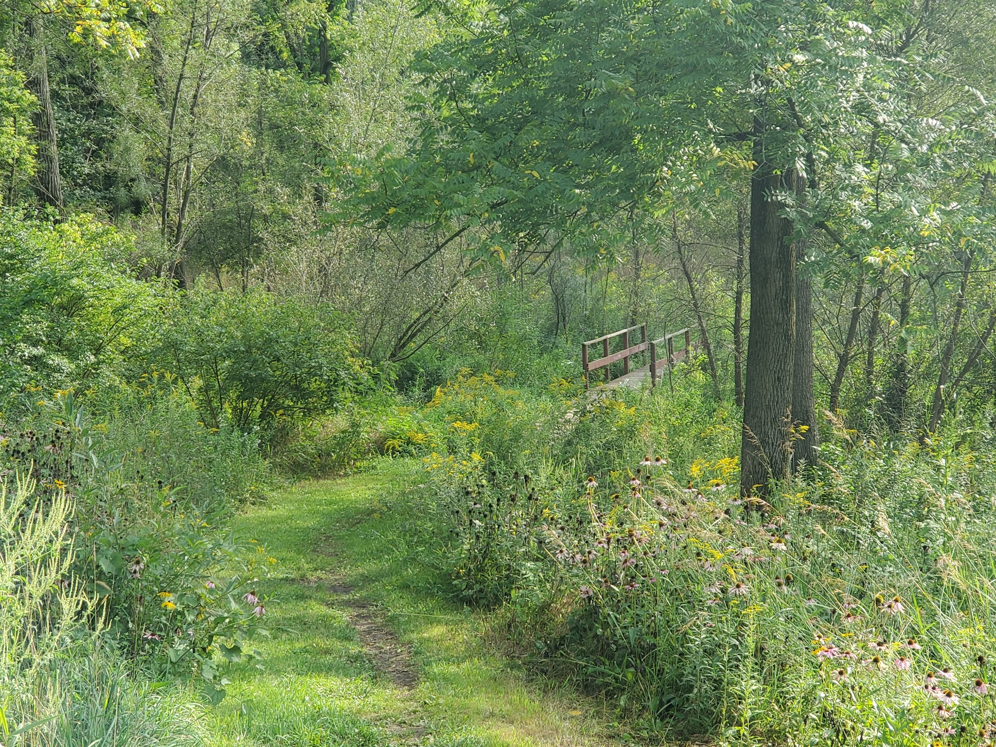Braewood Park - Algonquin, IL